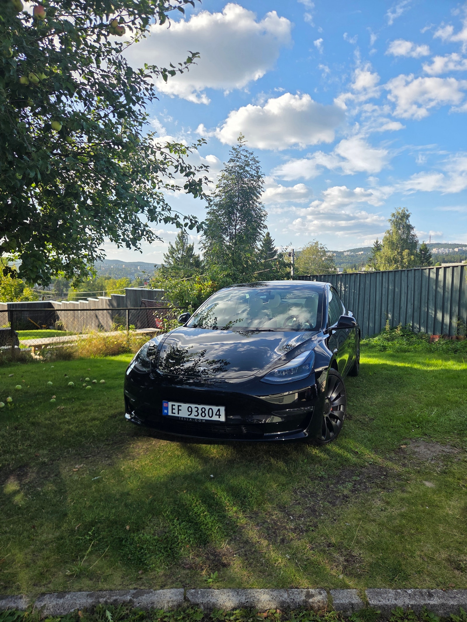 Tesla Model 3 Performance, 534hp, 2023