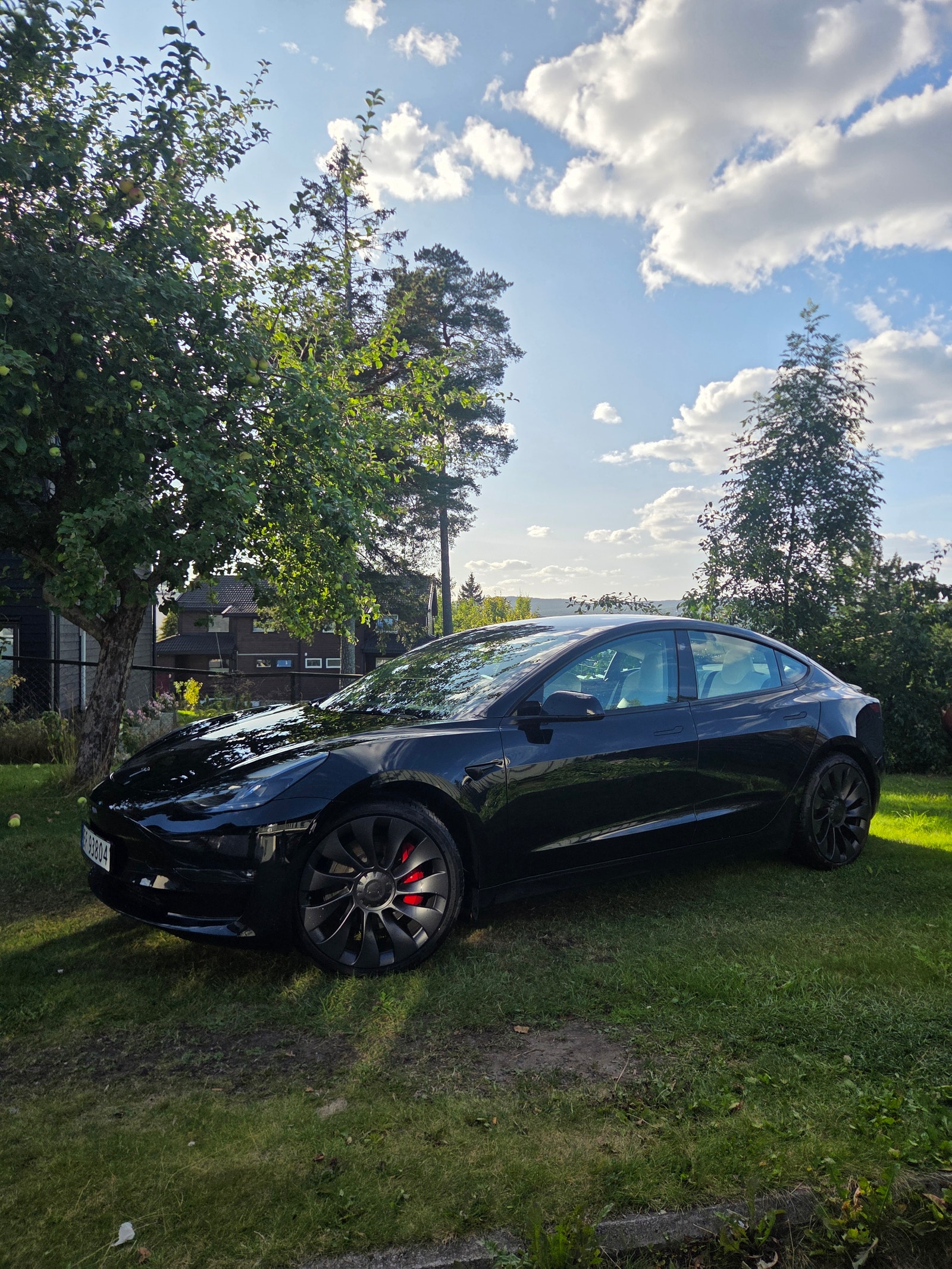 Tesla Model 3 Performance, 534hp, 2023