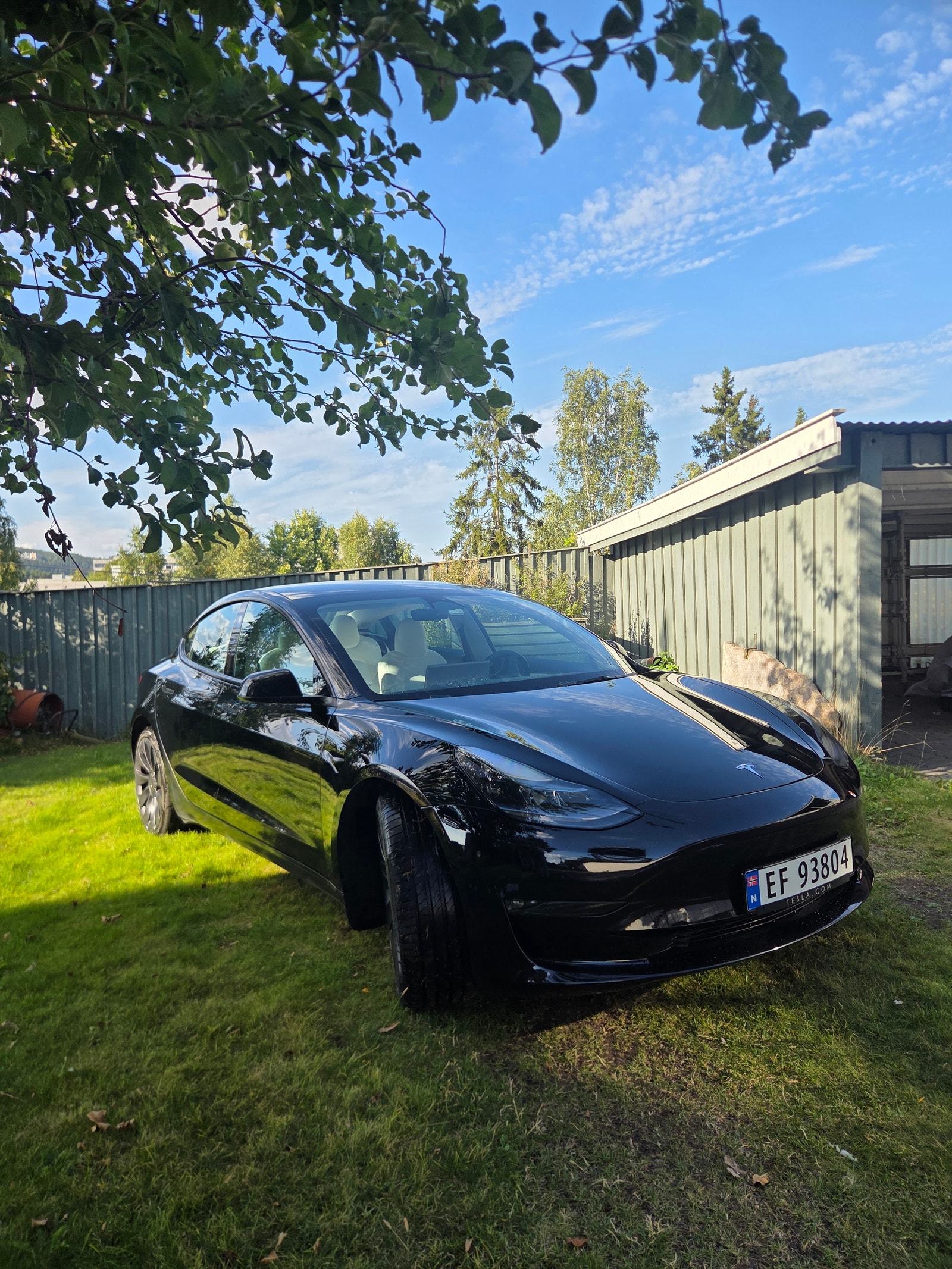 Tesla Model 3 Performance, 534hp, 2023