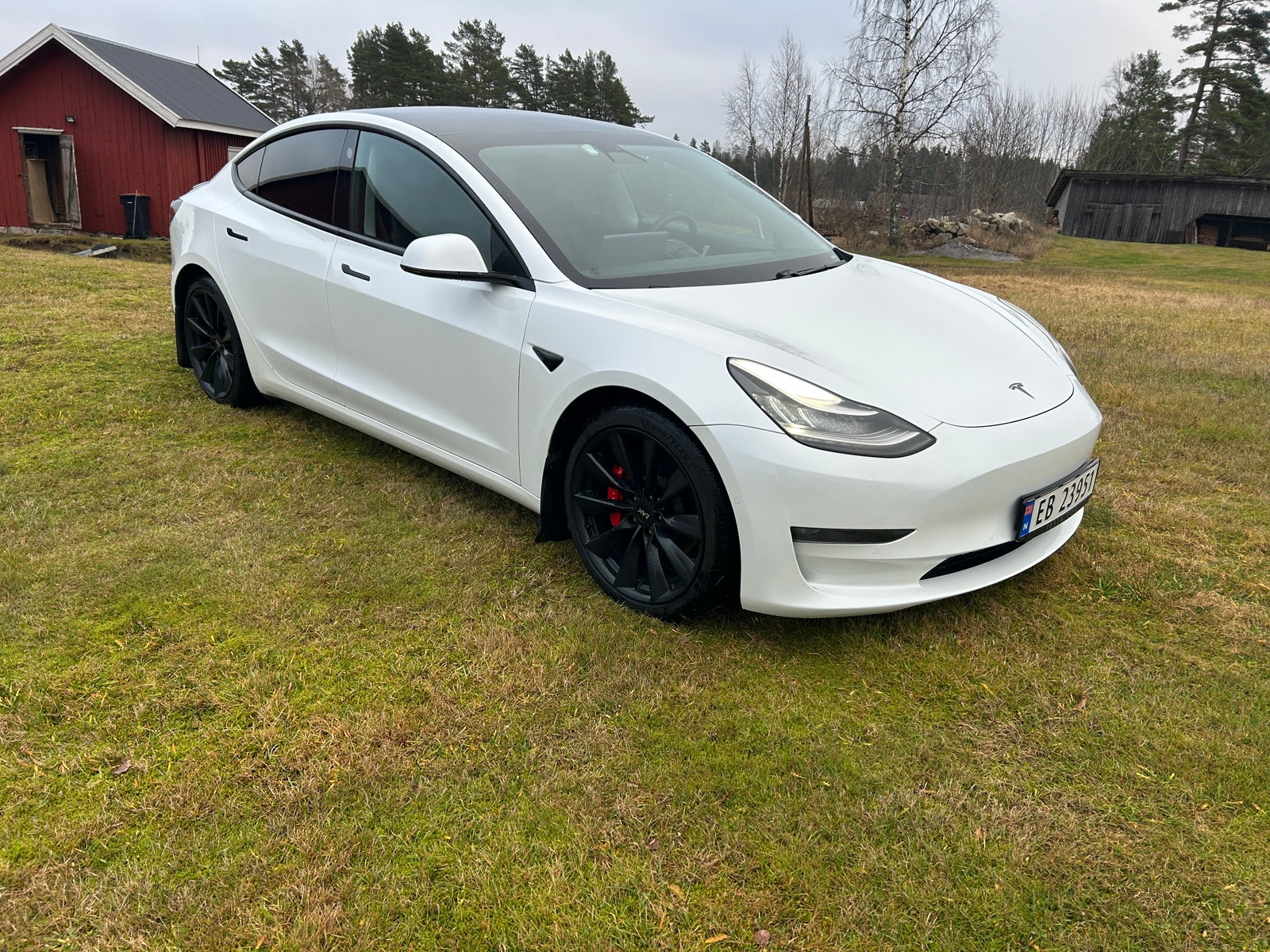 Tesla Model 3 Performance, 513ps, 2020