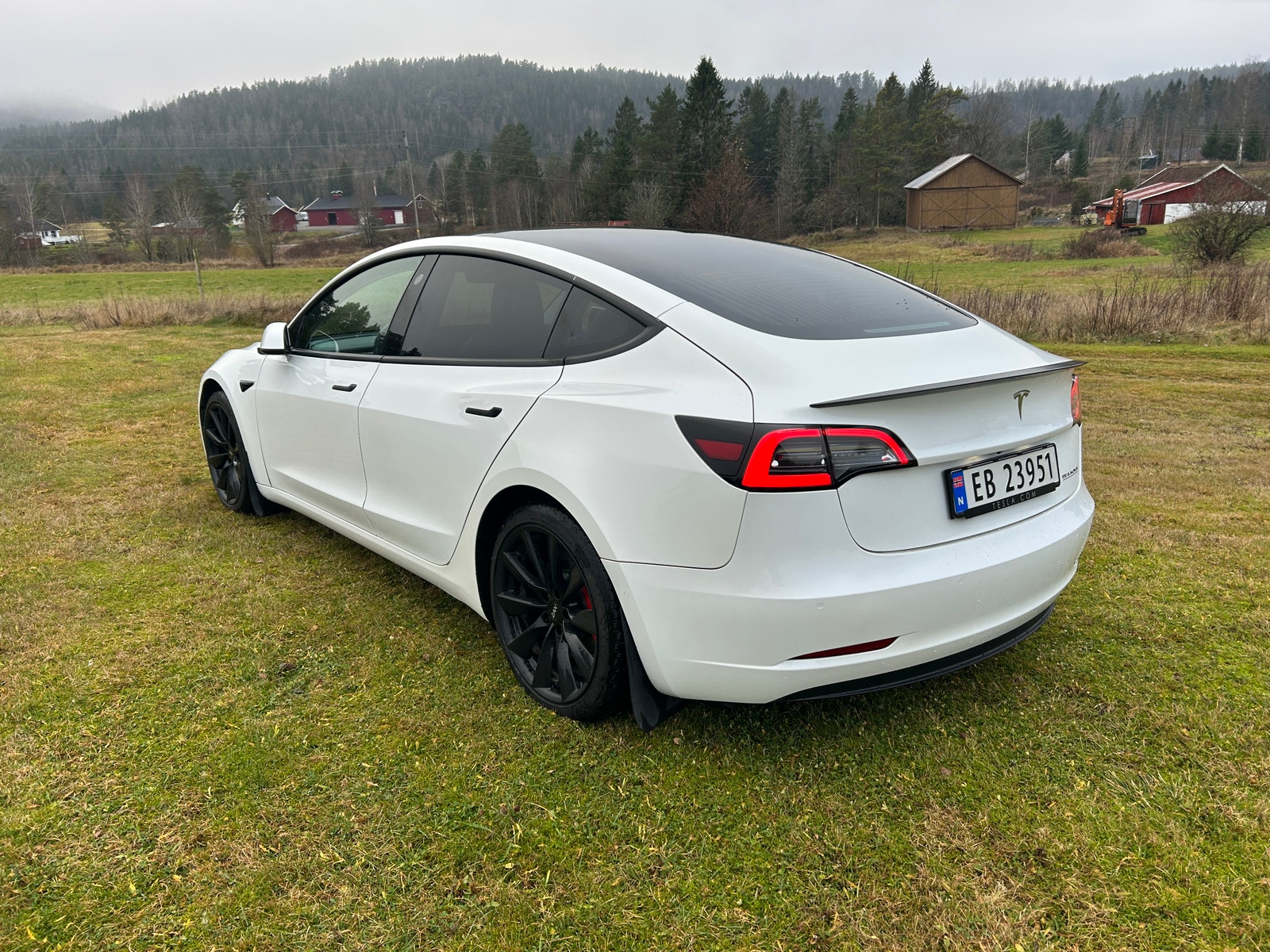 Tesla Model 3 Performance, 513ps, 2020