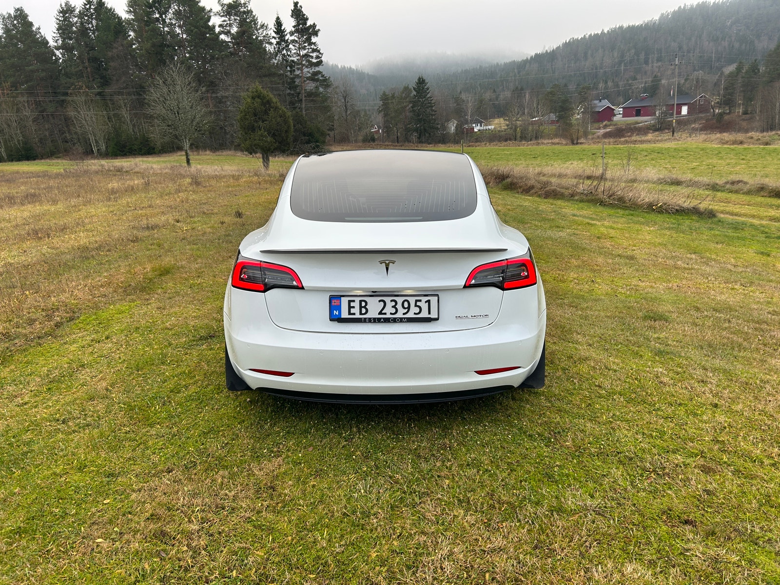 Tesla Model 3 Performance, 513ps, 2020