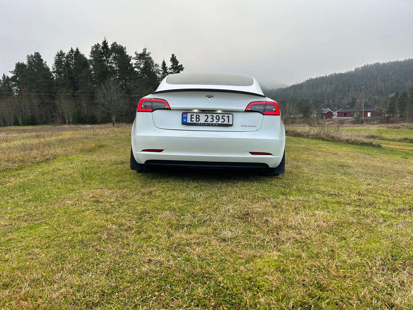 Tesla Model 3 Performance, 513ps, 2020