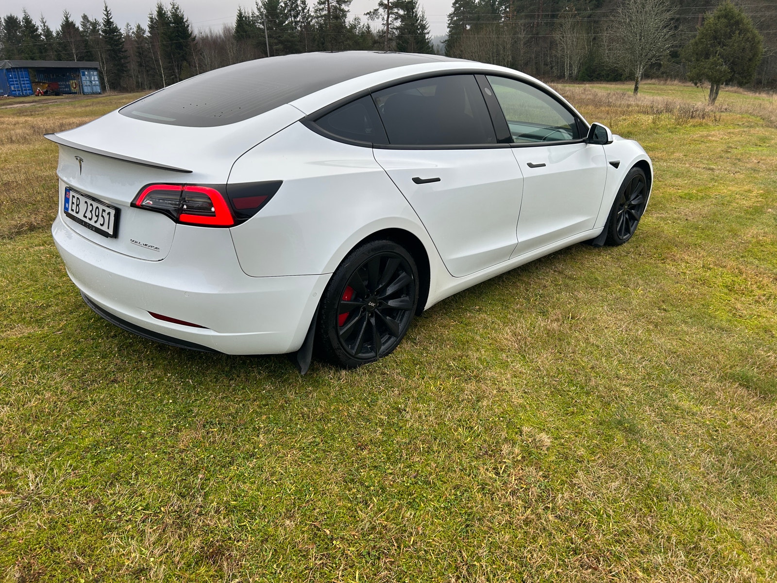 Tesla Model 3 Performance, 513ps, 2020