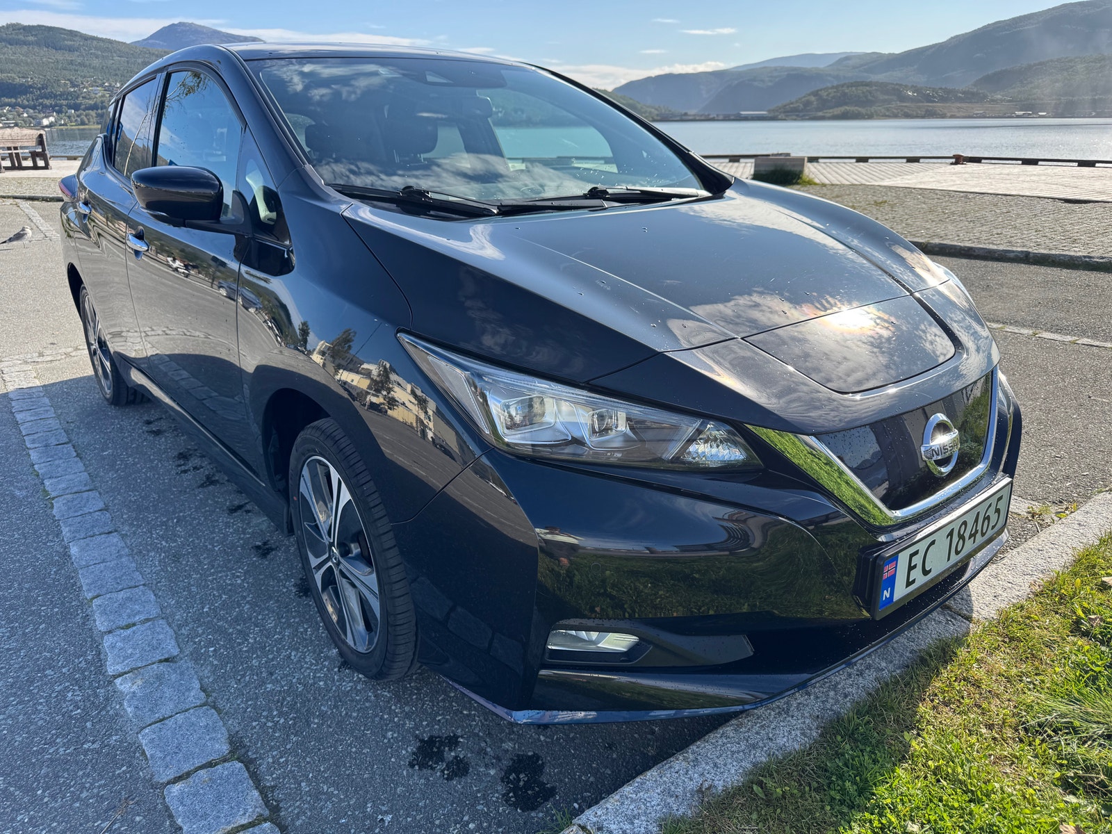 Nissan Leaf e+, 217ps, 2021