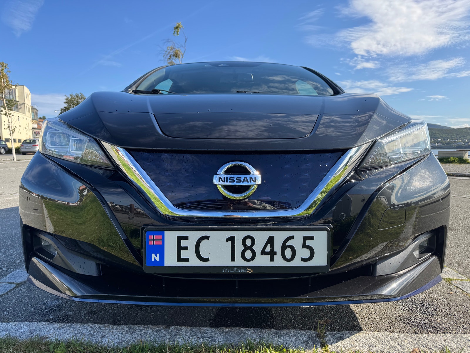 Nissan Leaf e+, 217ps, 2021