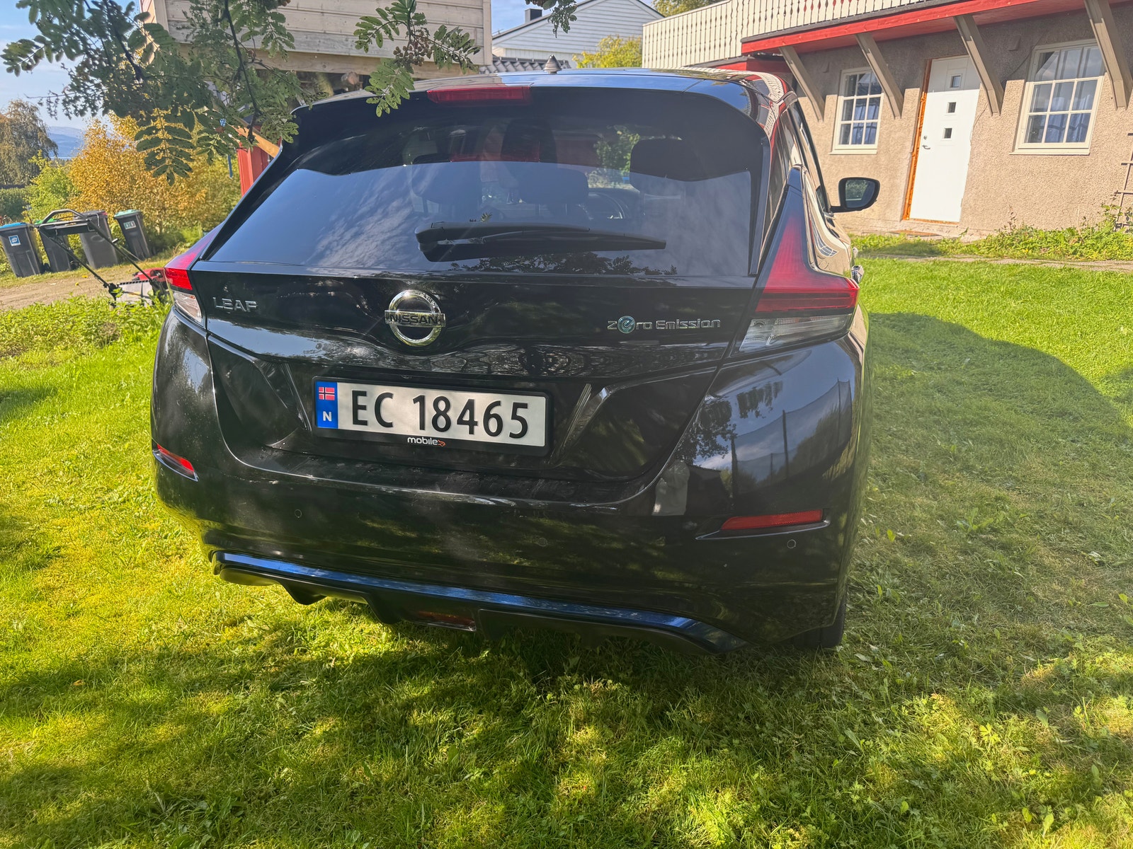 Nissan Leaf e+, 217ps, 2021