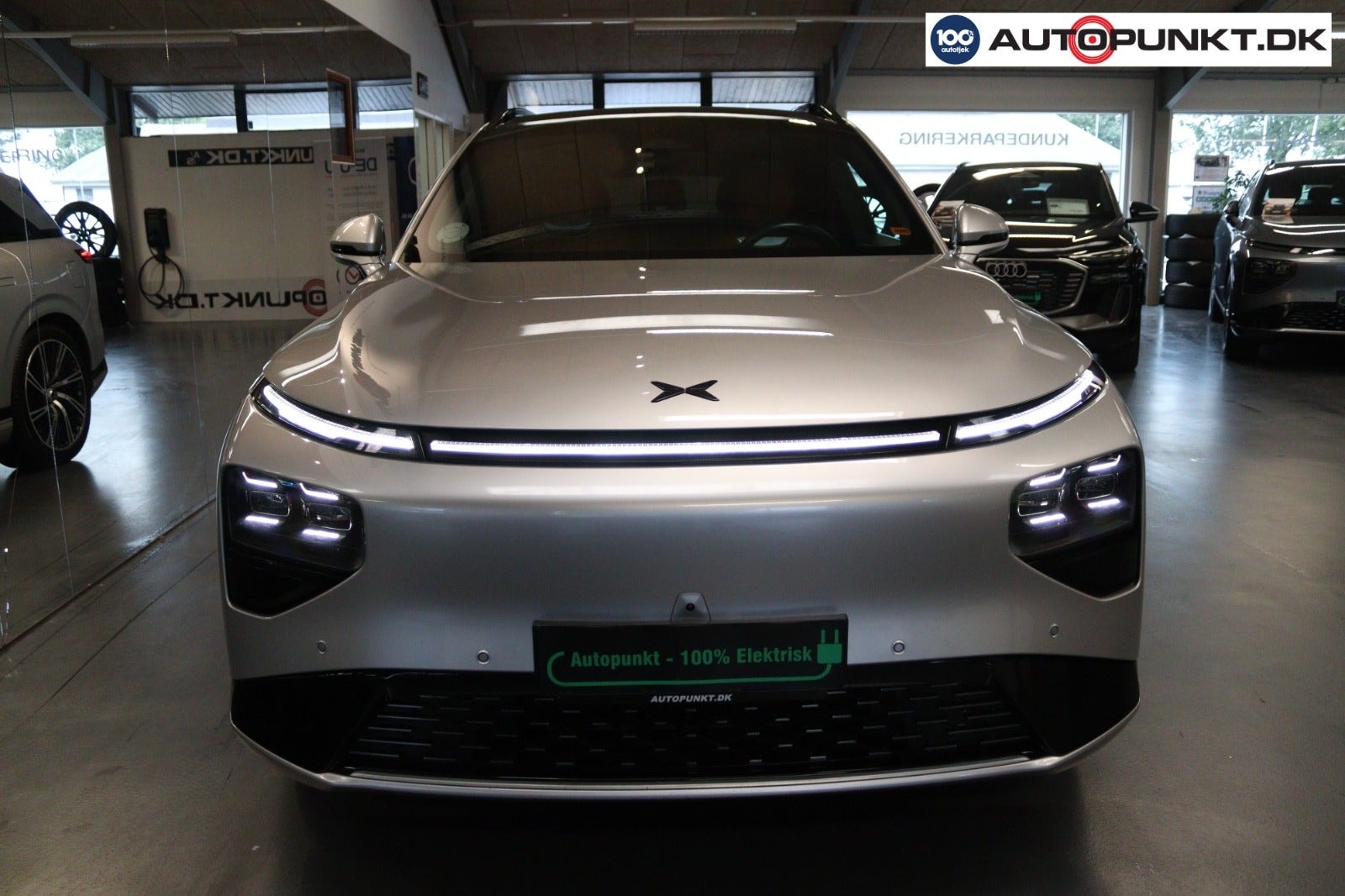 XPENG G9 Performance, 551hk, 2023