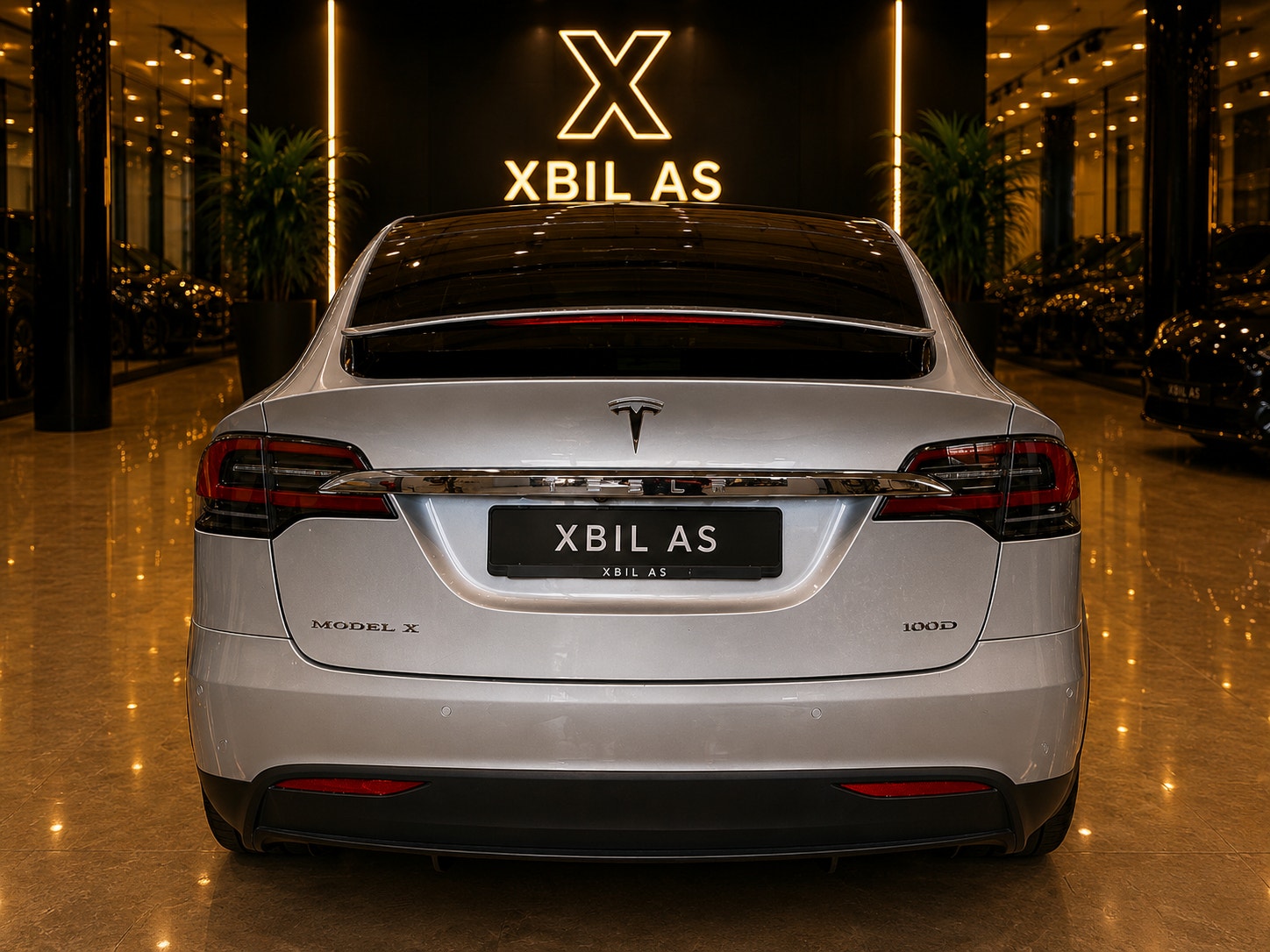 Tesla Model X 100D, 423hp, 2018