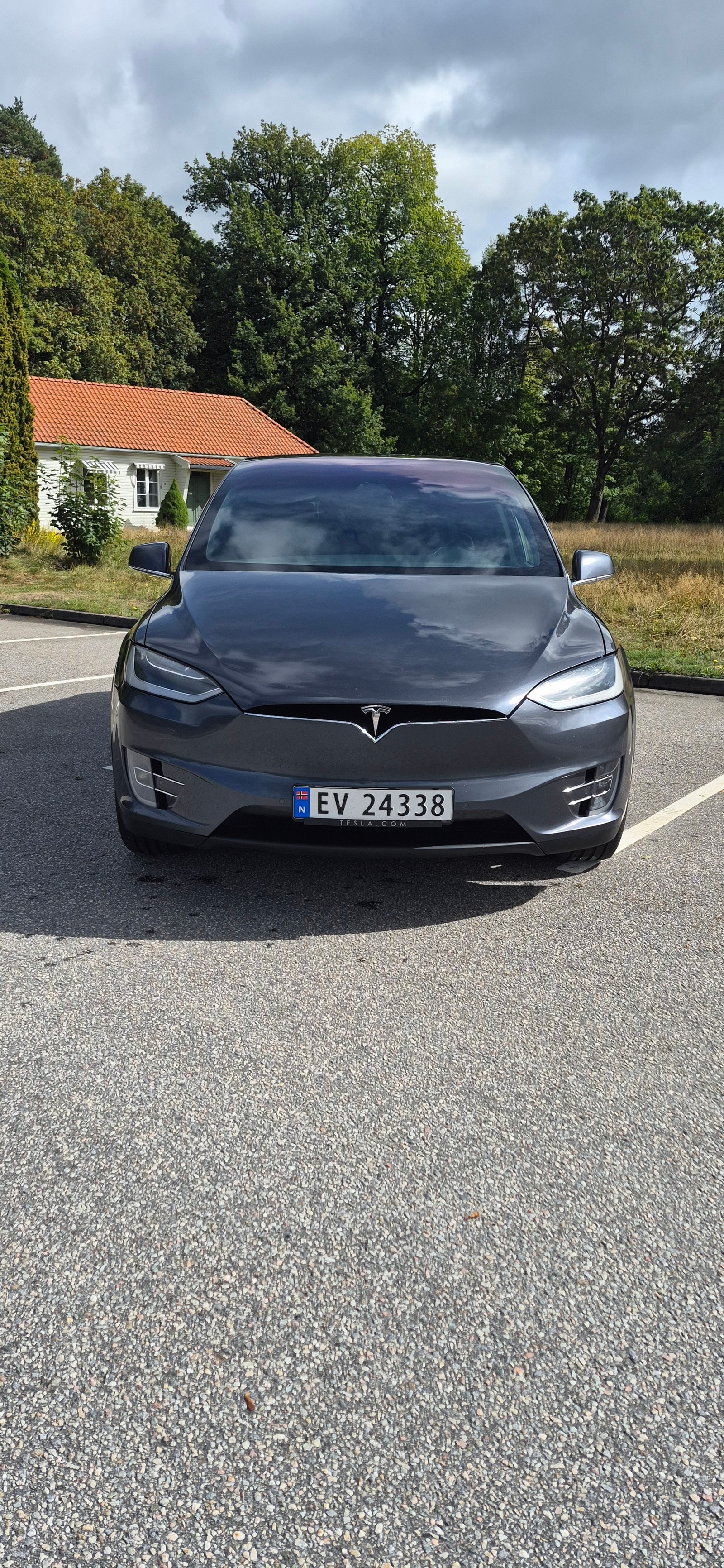 Tesla Model X 75D, 525hp, 2018