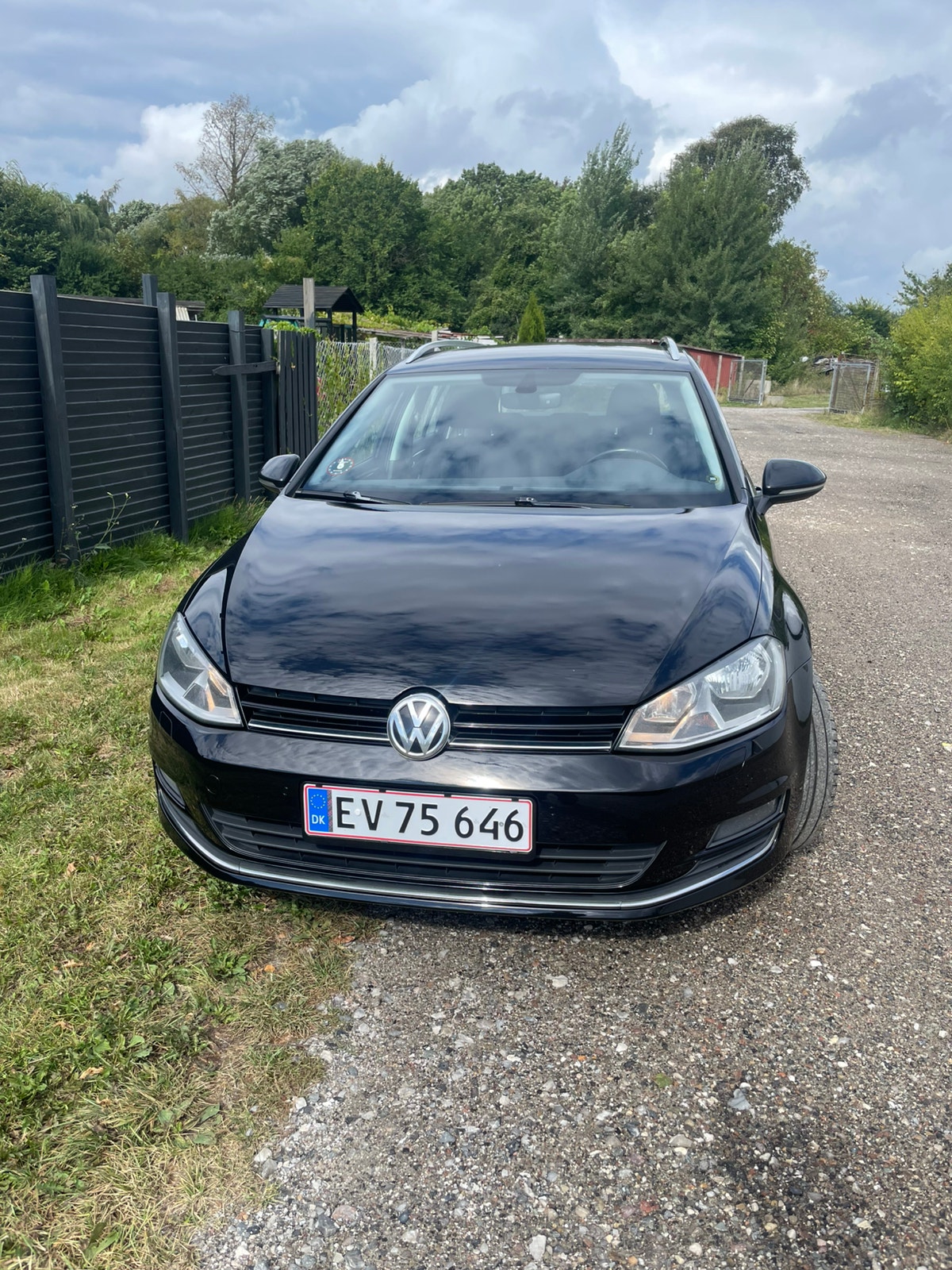 Volkswagen Golf Variant 1.6 TDI DPF BMT Manual, 110hp, 2017