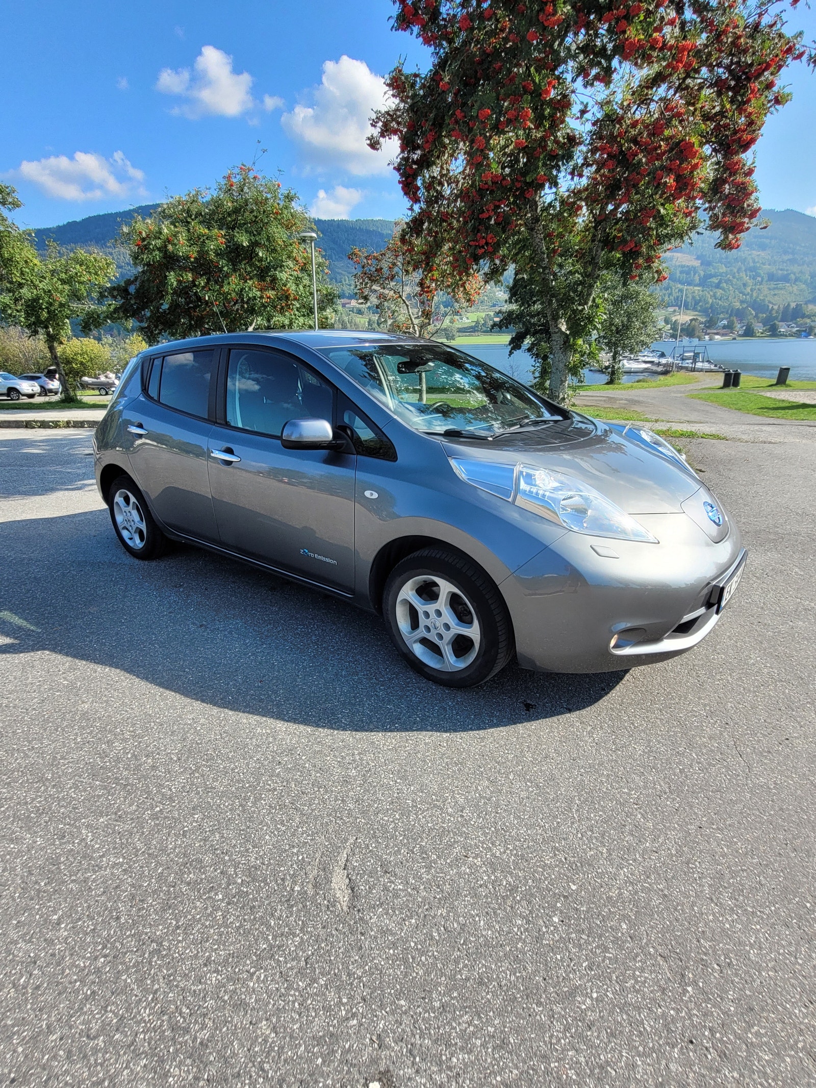 Nissan Leaf 30 kWh, 109ps, 2017