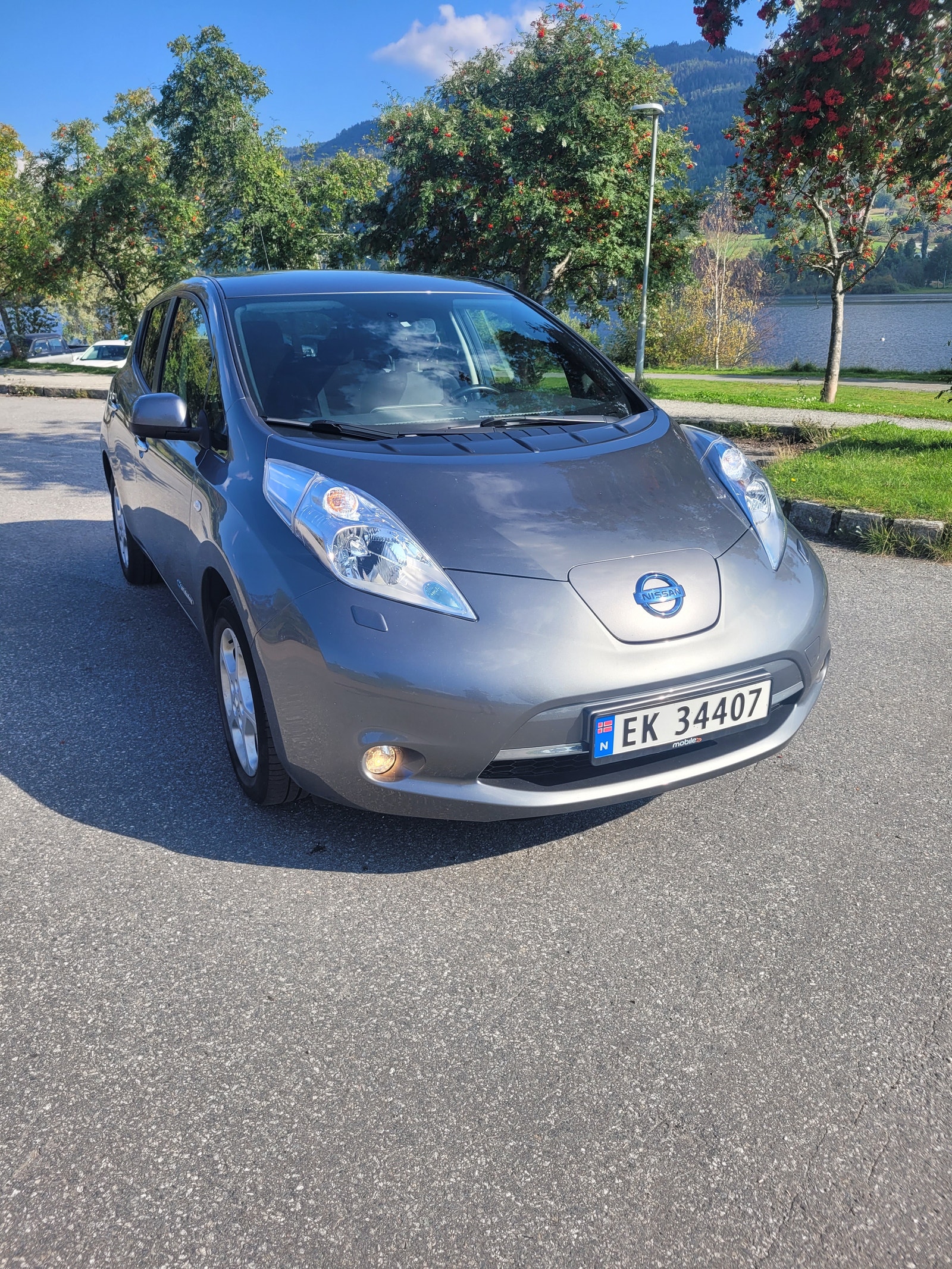 Nissan Leaf 30 kWh, 109ps, 2017