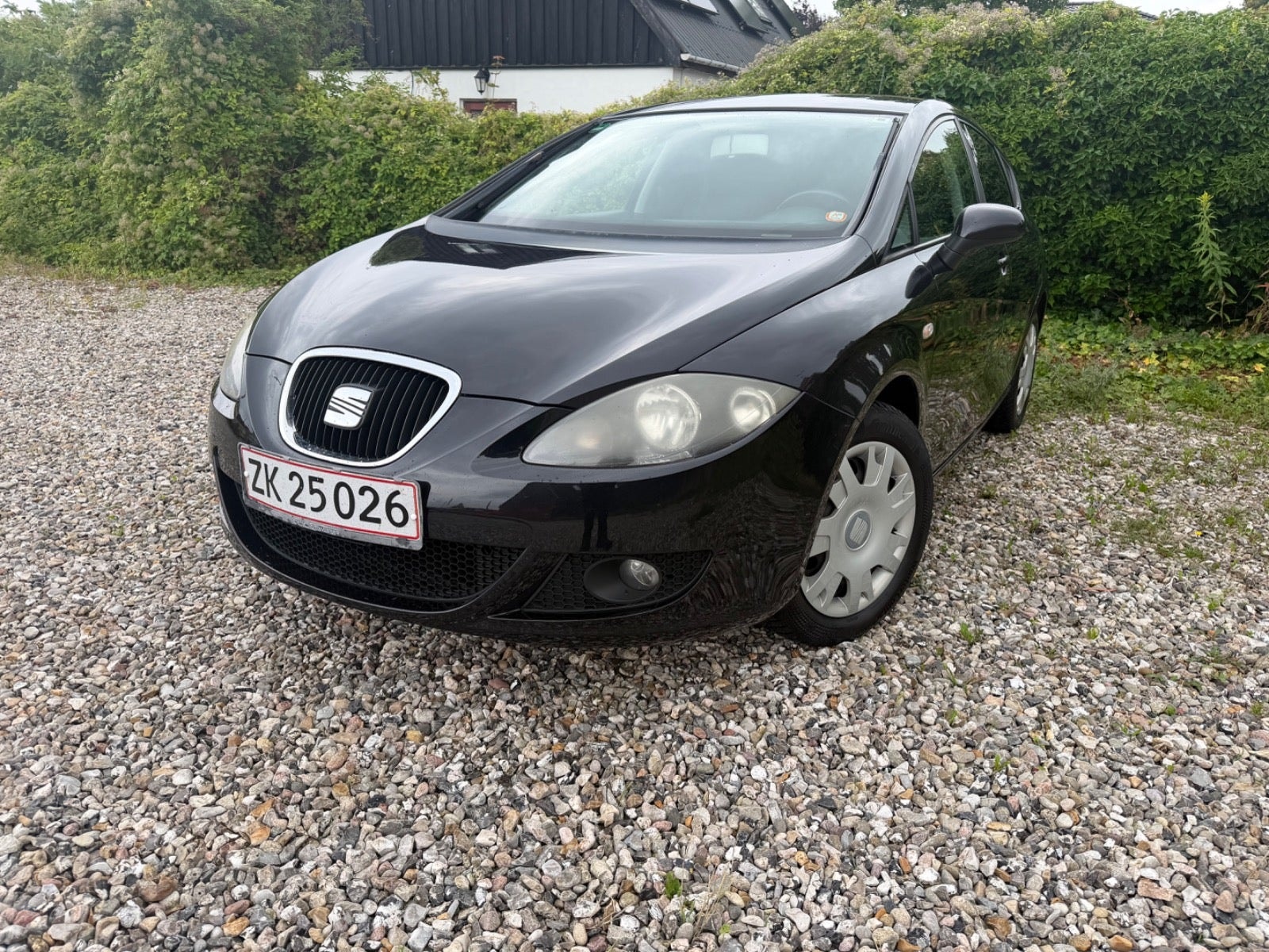 SEAT León 1.9 TDI Manual, 5-trins, 105ps, 2008