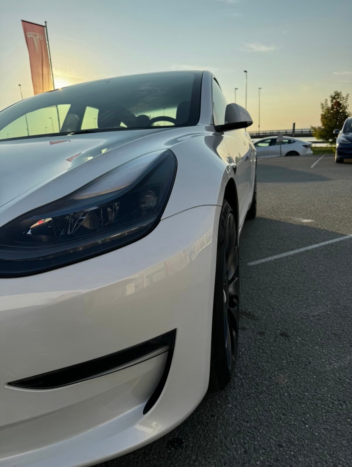 Tesla Model 3 Performance, 534hp, 2023