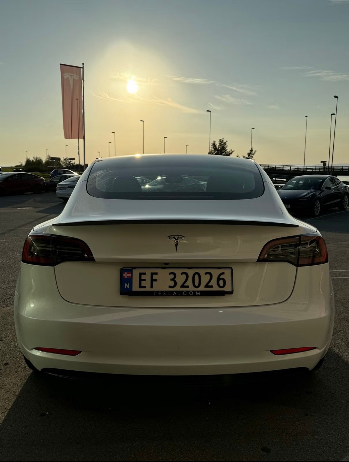 Tesla Model 3 Performance, 534hp, 2023