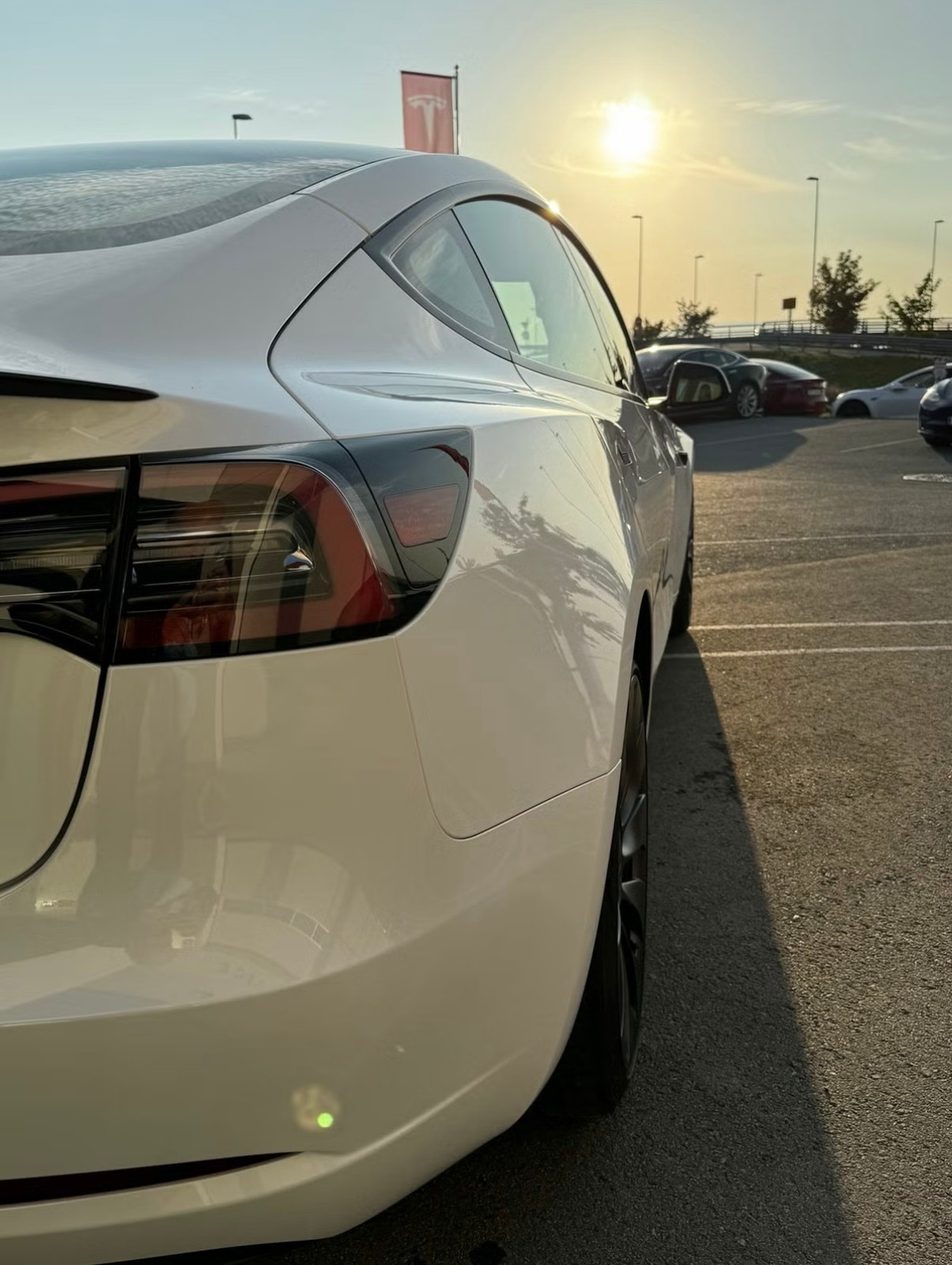 Tesla Model 3 Performance, 534hp, 2023