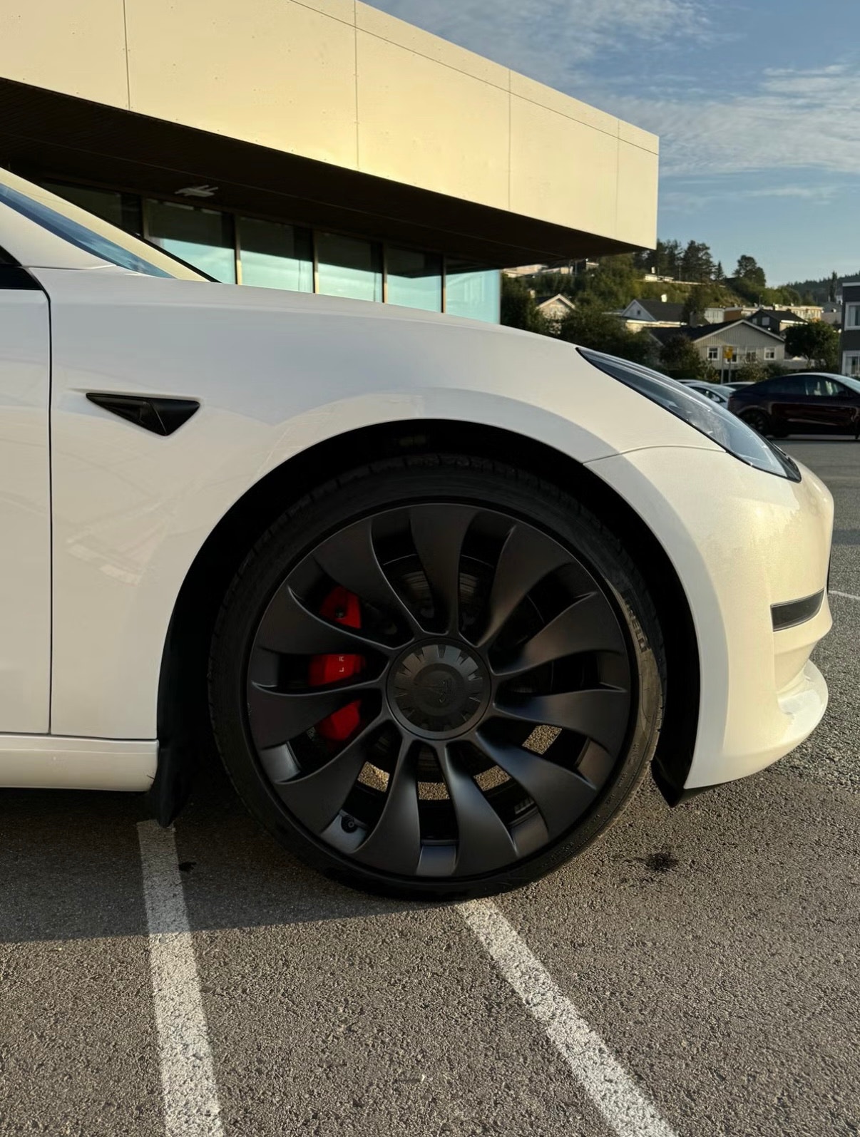 Tesla Model 3 Performance, 534hp, 2023