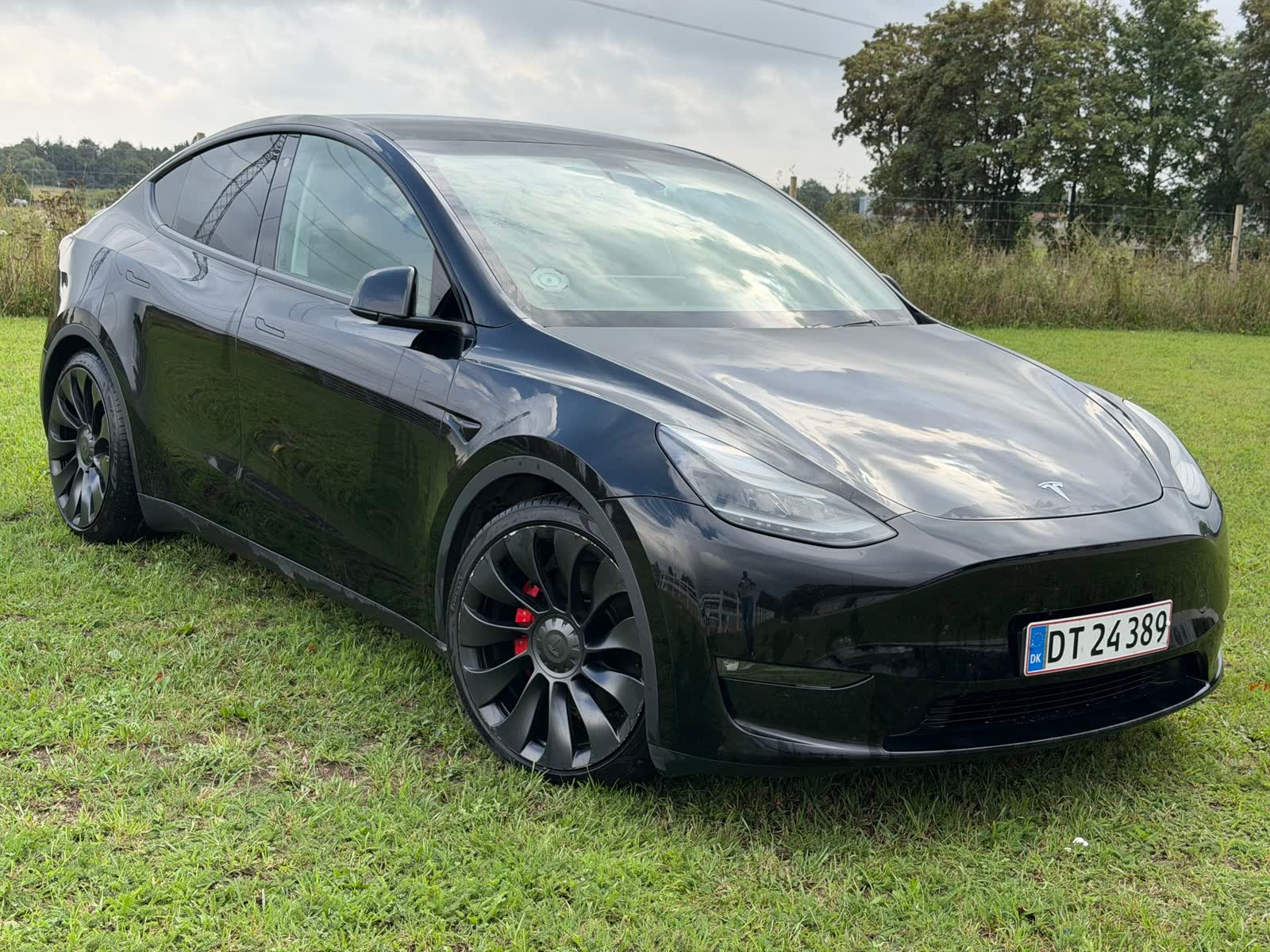 Tesla Model Y Performance, 534hp, 2023