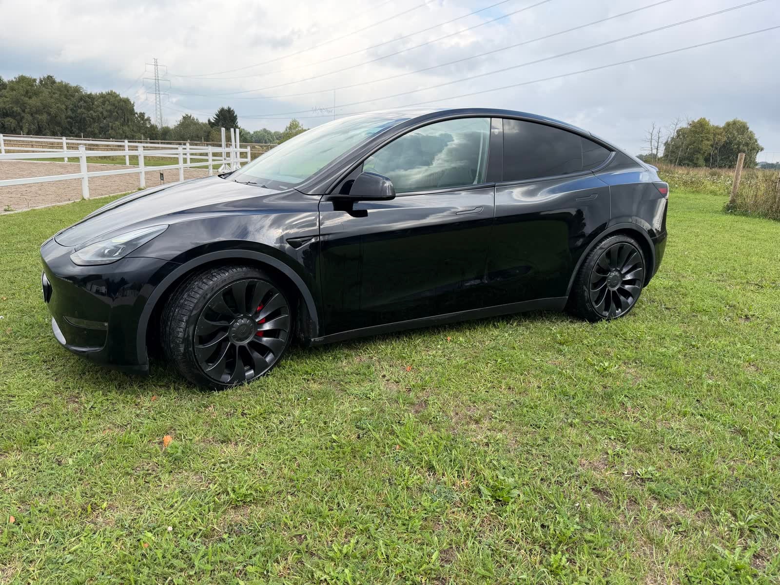 Tesla Model Y Performance, 534hp, 2023