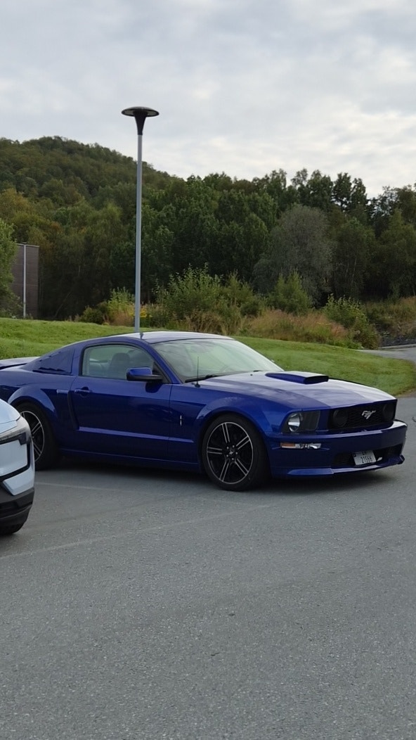 Ford Mustang GT Automatisk, 5-trinn, 304hk, 2007