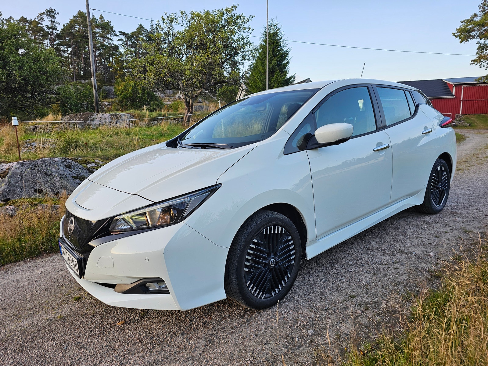 Nissan Leaf e+, 217ps, 2024
