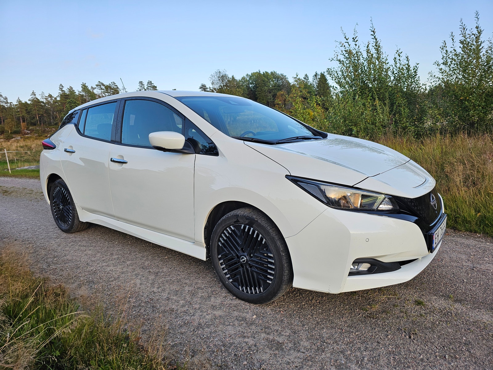 Nissan Leaf e+, 217ps, 2024