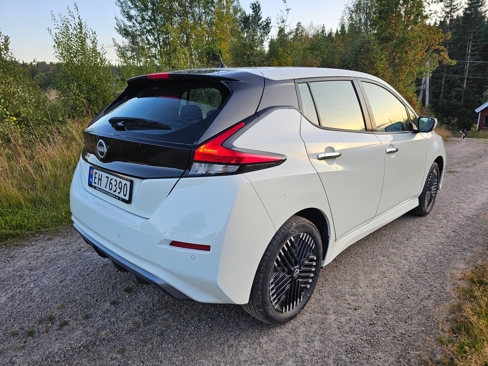Nissan Leaf e+, 217ps, 2024