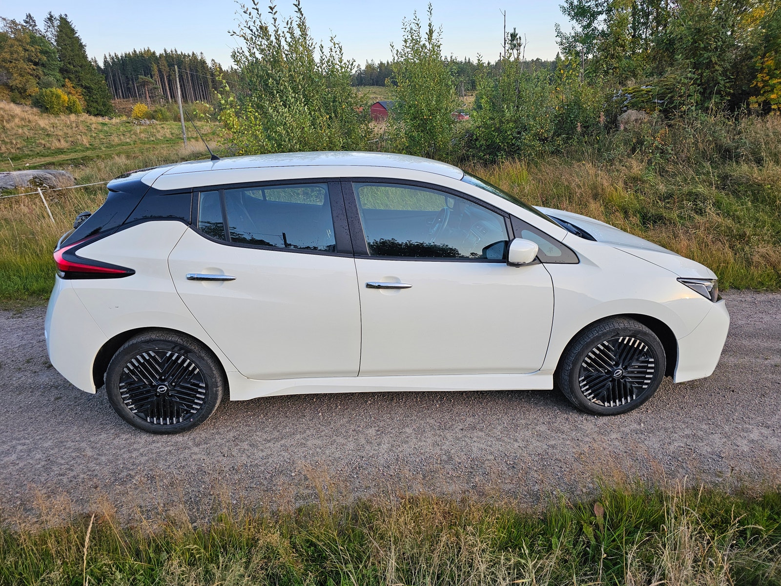 Nissan Leaf e+, 217ps, 2024