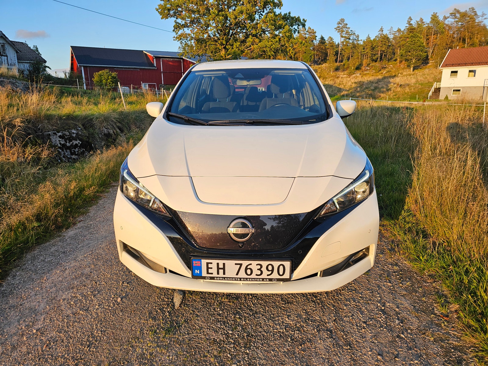 Nissan Leaf e+, 217ps, 2024