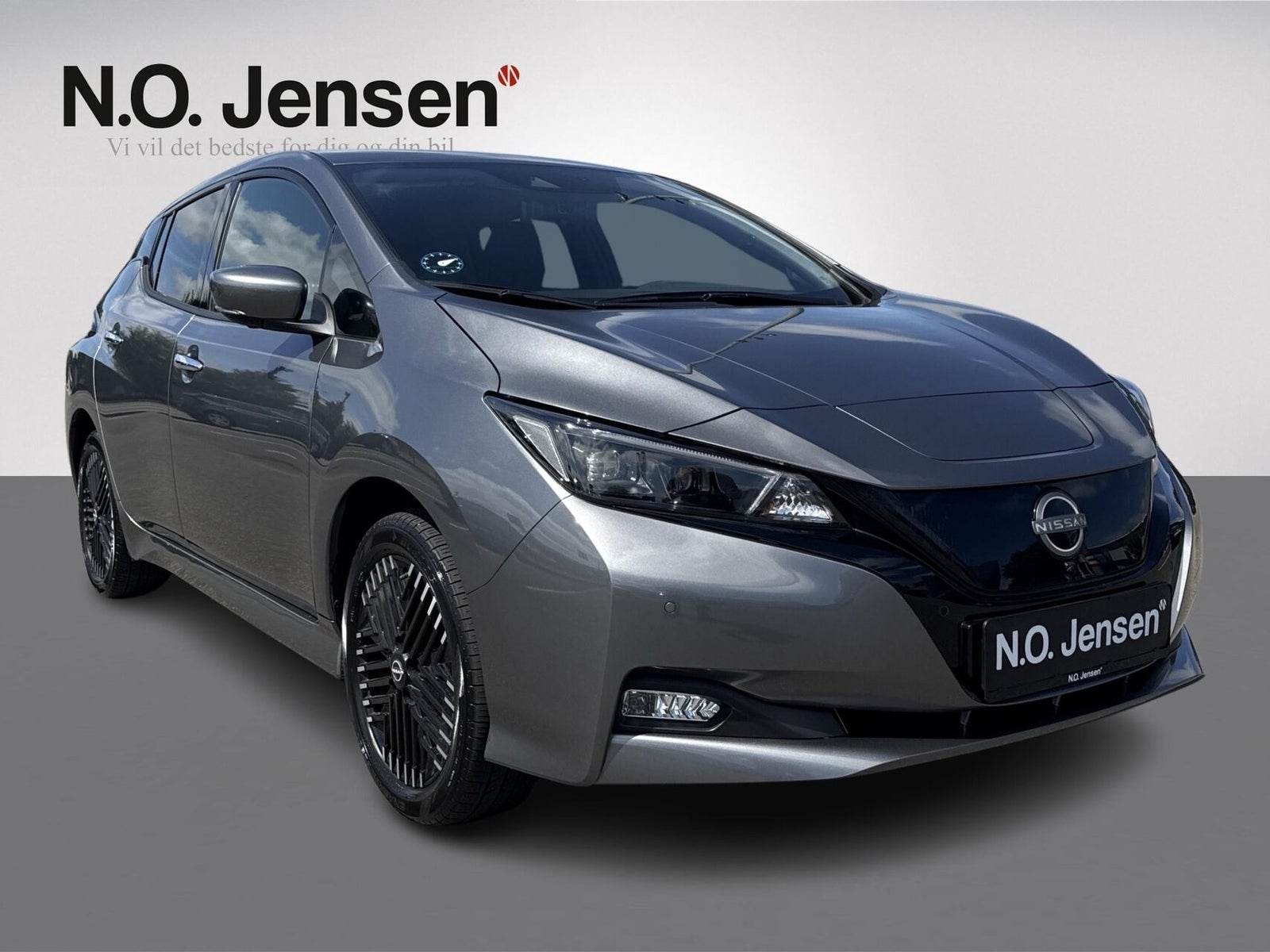 Nissan Leaf e+, 217hp, 2022