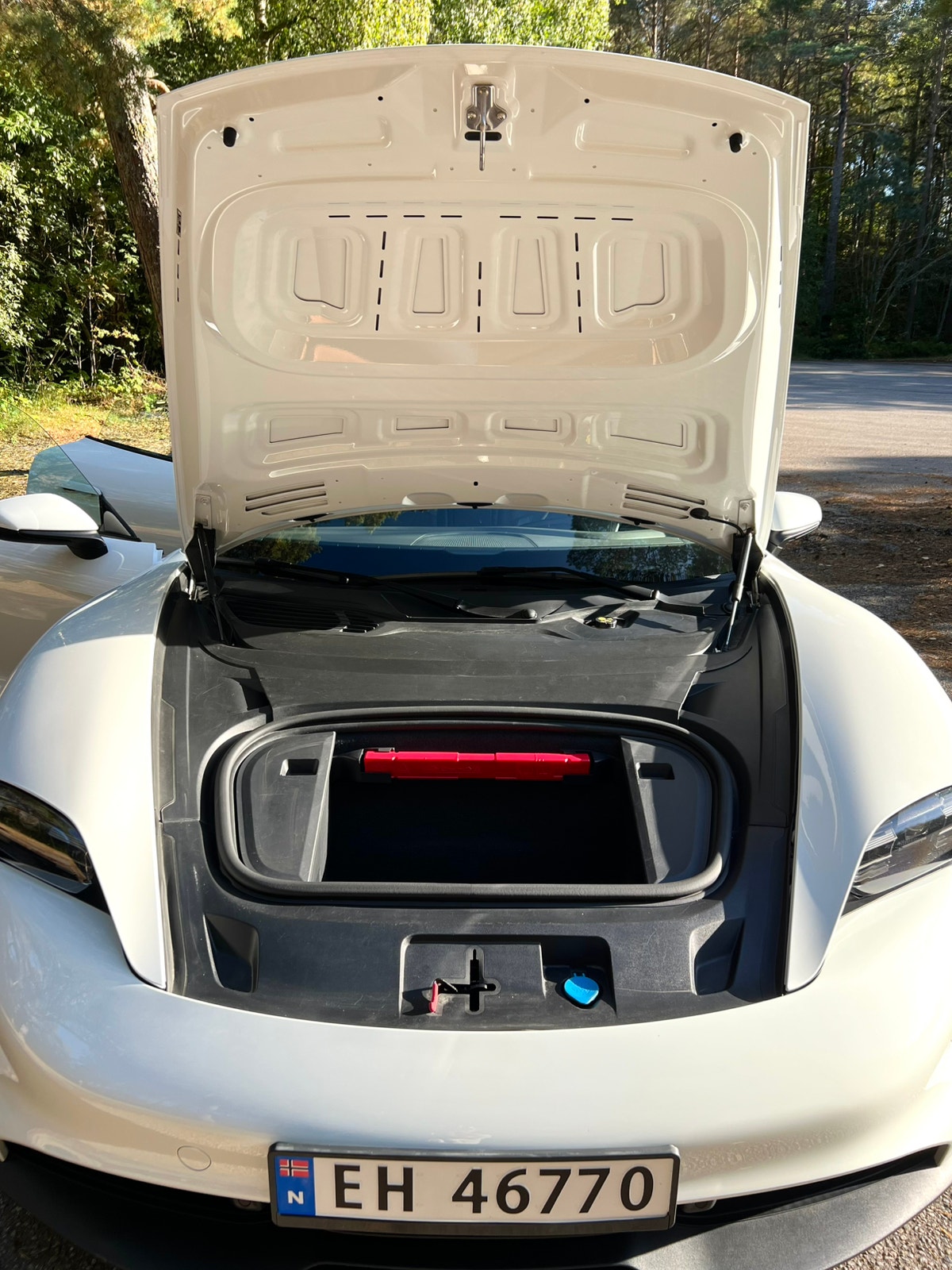 Porsche Taycan Direct Drive/Automatic, 326hp, 2021