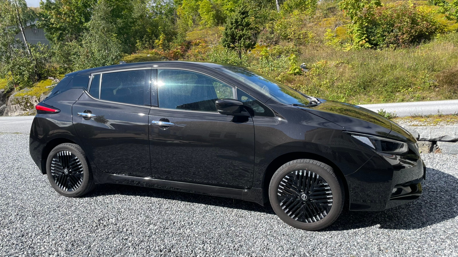 Nissan Leaf e+, 217hp, 2022