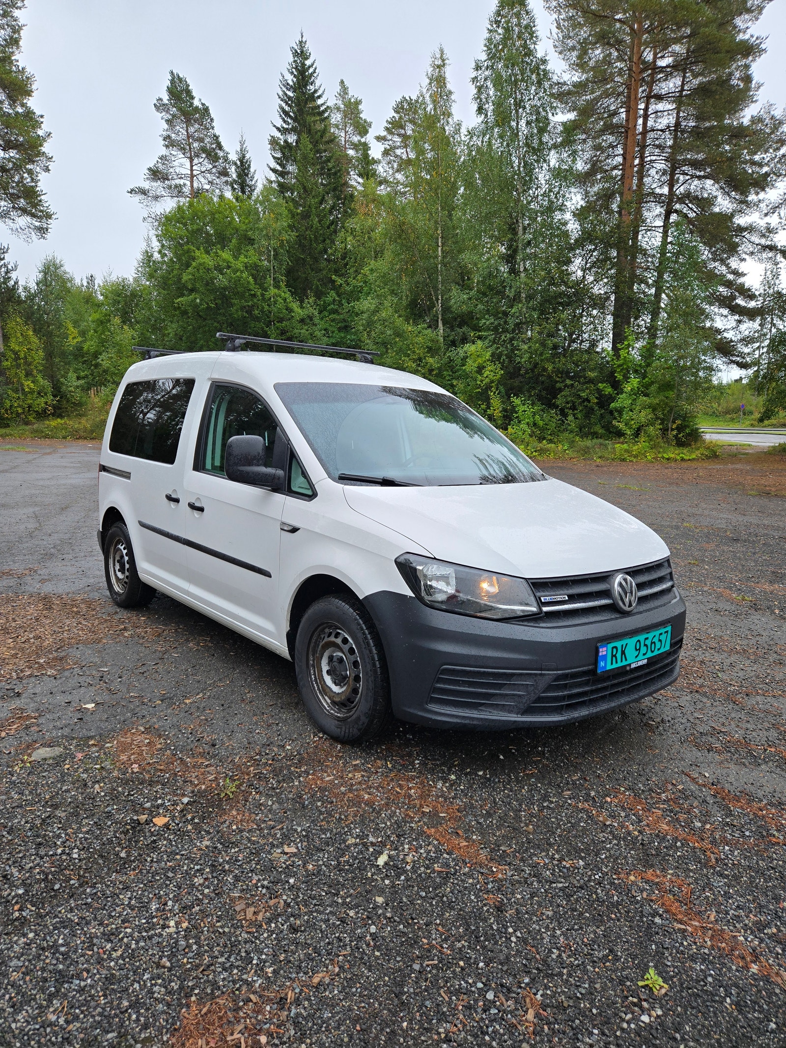 Volkswagen Caddy Van 1.4 TGI BlueMotion Manuell, 6-trinn, 110hk, 2016