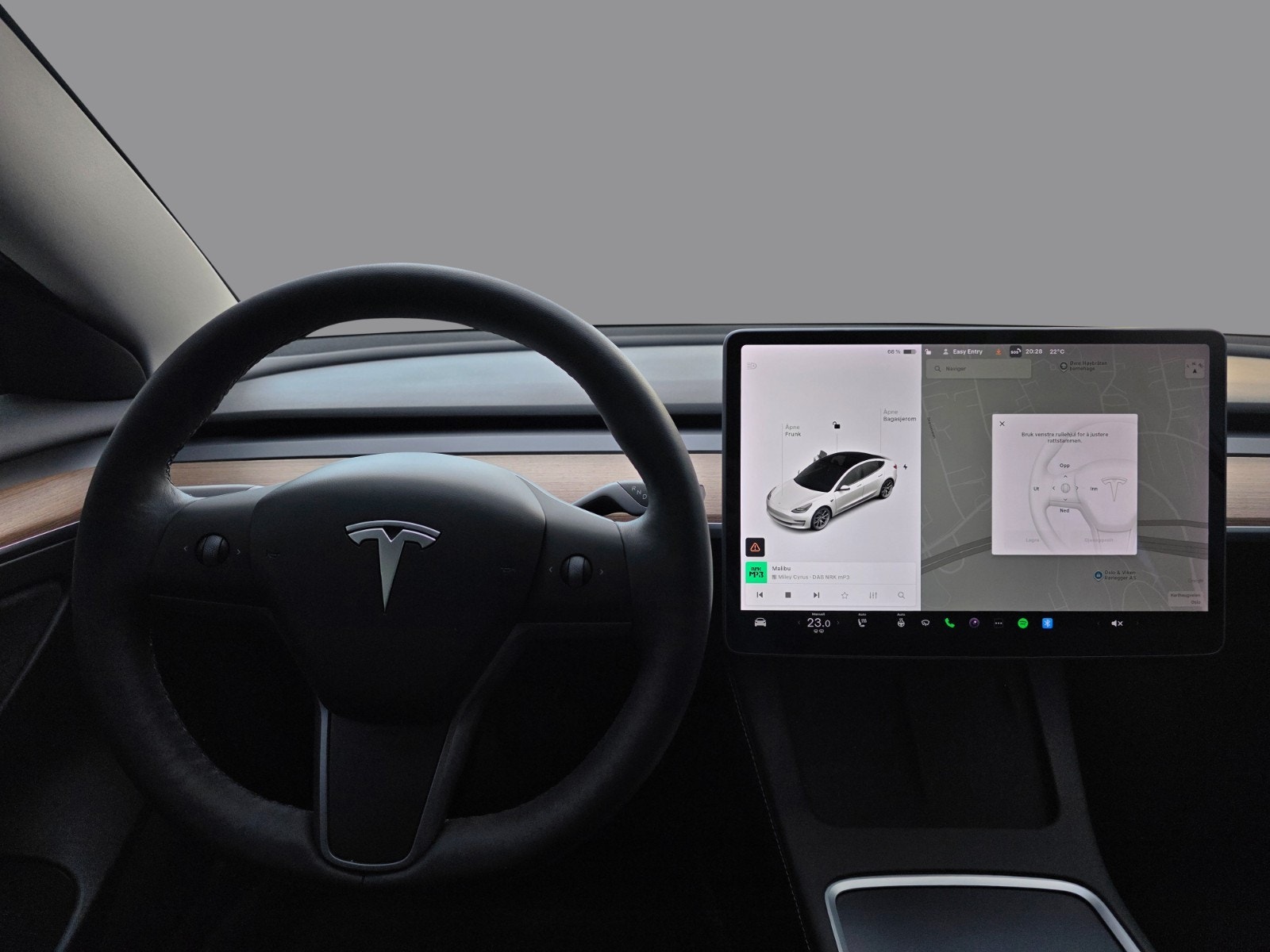 Tesla Model 3 Performance, 513hp, 2021