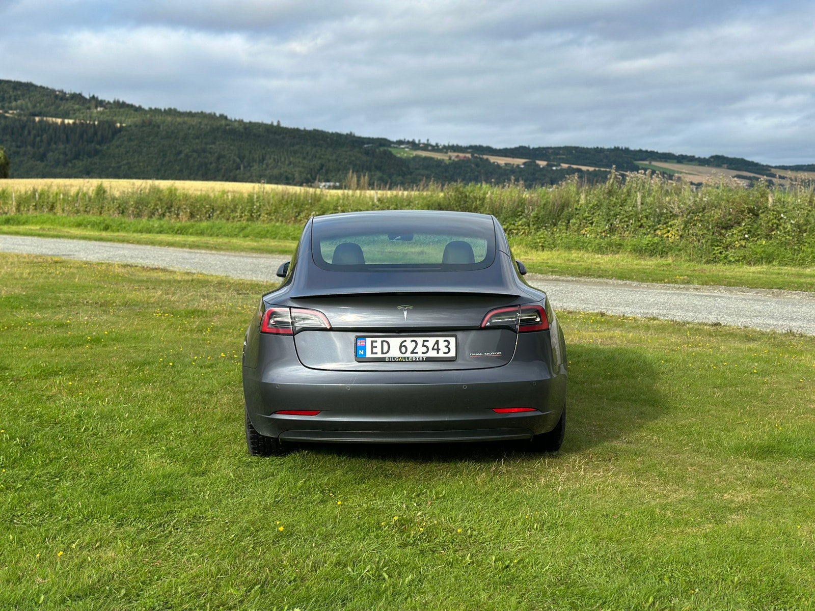 Tesla Model 3 Performance, 534hp, 2022