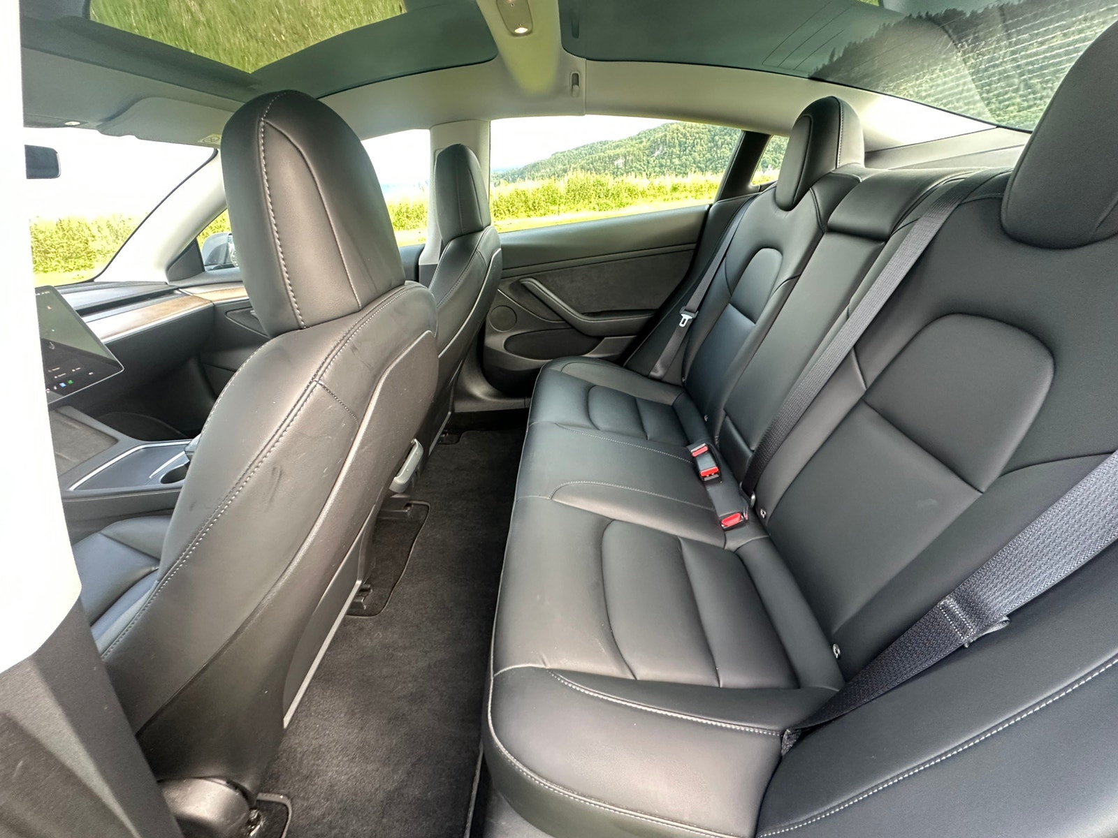Tesla Model 3 Performance, 534hp, 2022