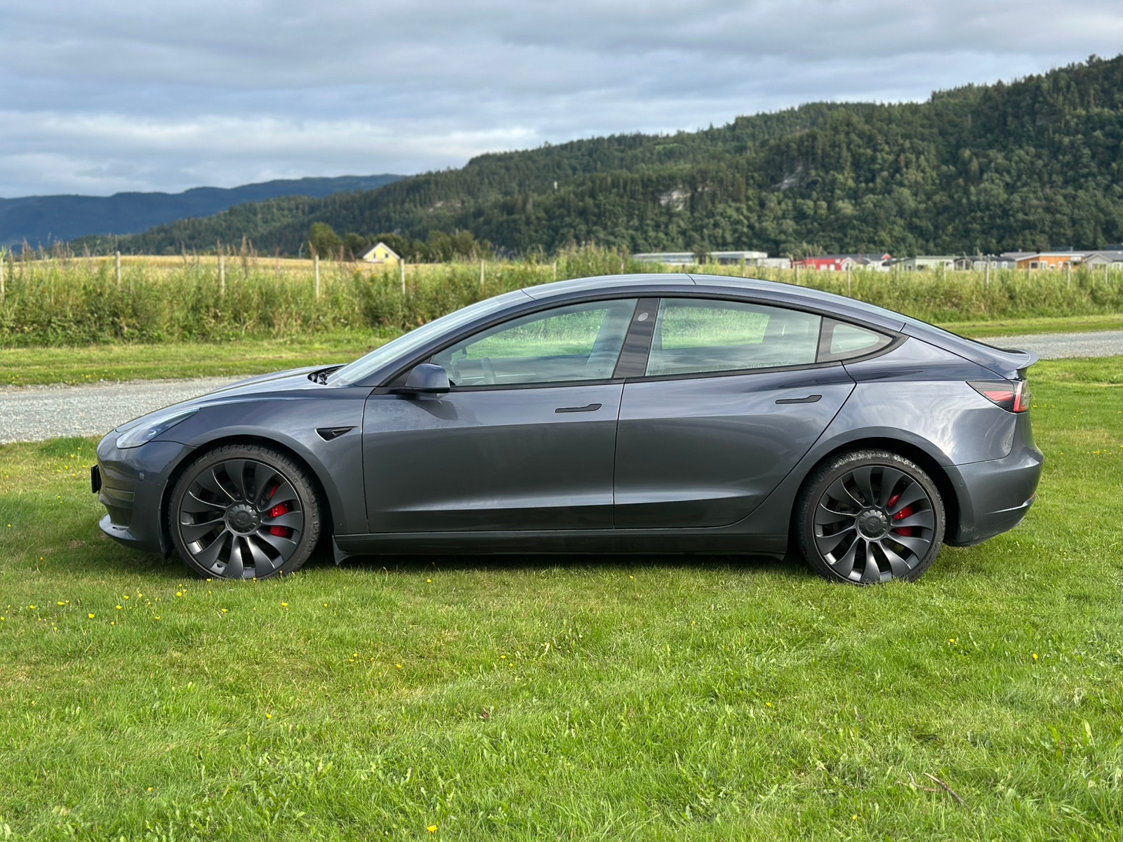 Tesla Model 3 Performance, 534hp, 2022