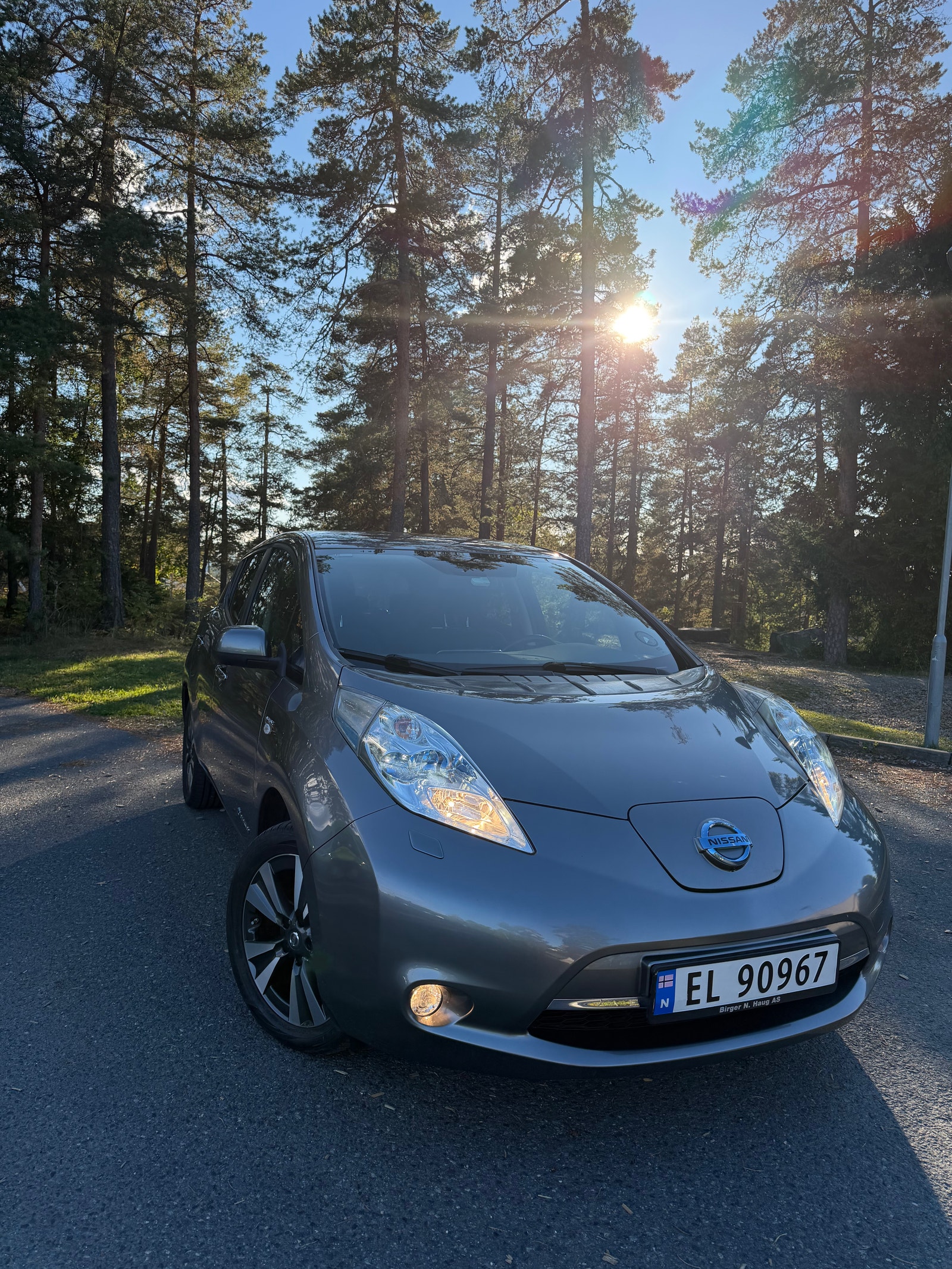 Nissan Leaf 30 kWh, 109ps, 2016