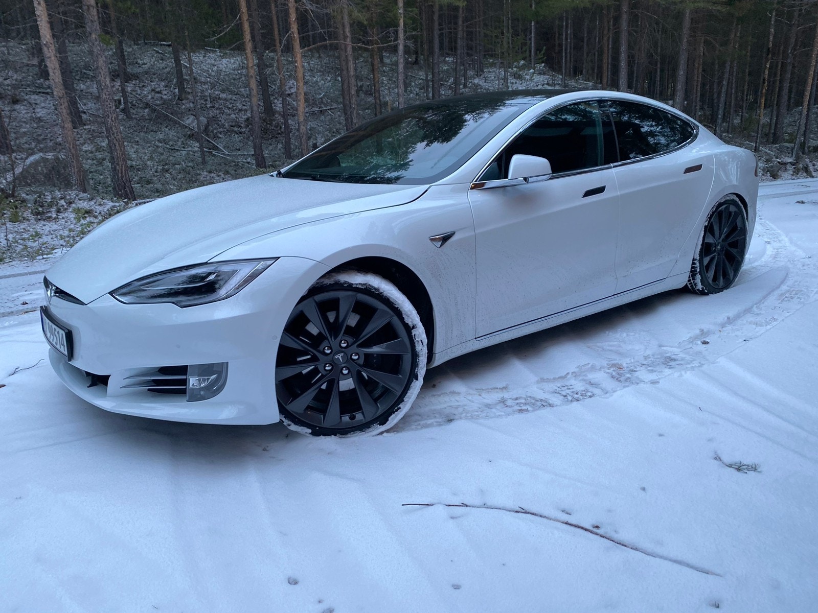 Tesla Model S Long Range AWD, 423hp, 2019