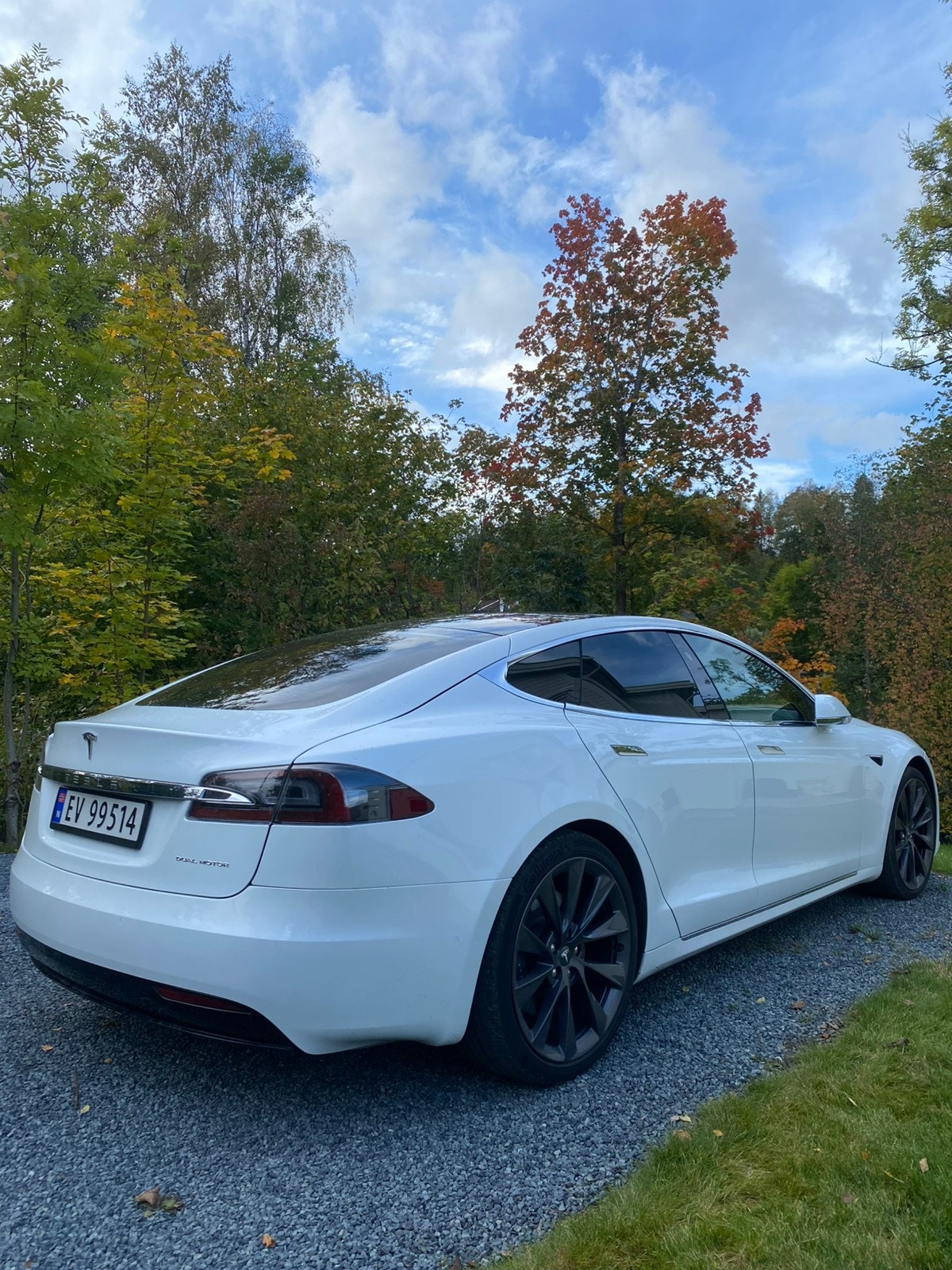 Tesla Model S Long Range AWD, 423hp, 2019