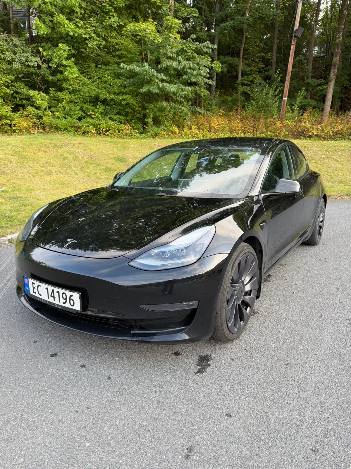 Tesla Model 3 Performance, 513hp, 2021