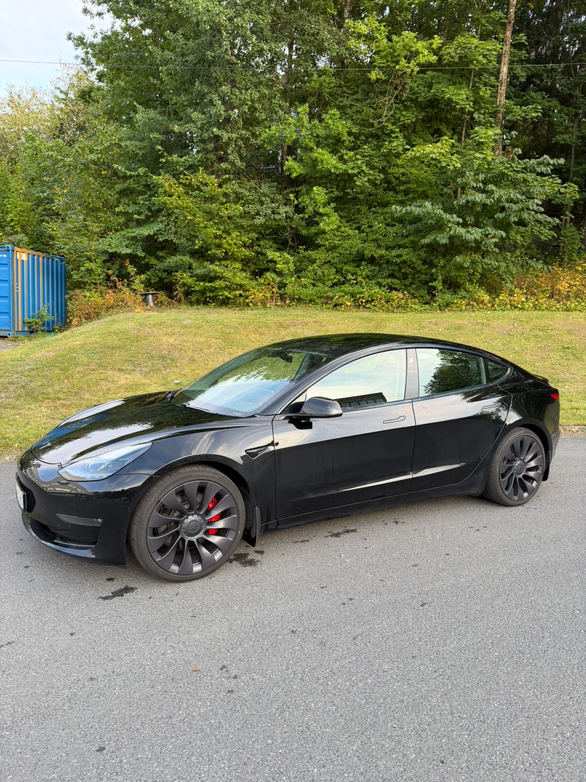 Tesla Model 3 Performance, 513hp, 2021