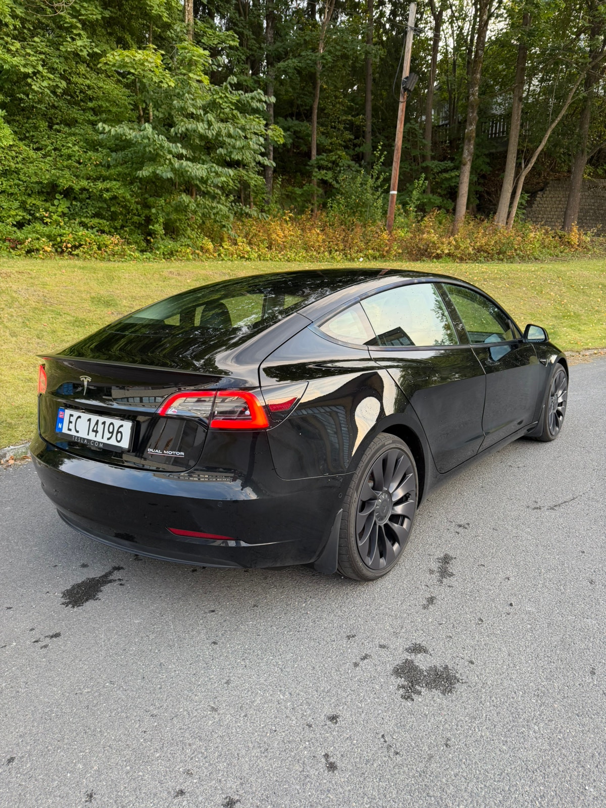 Tesla Model 3 Performance, 513hp, 2021