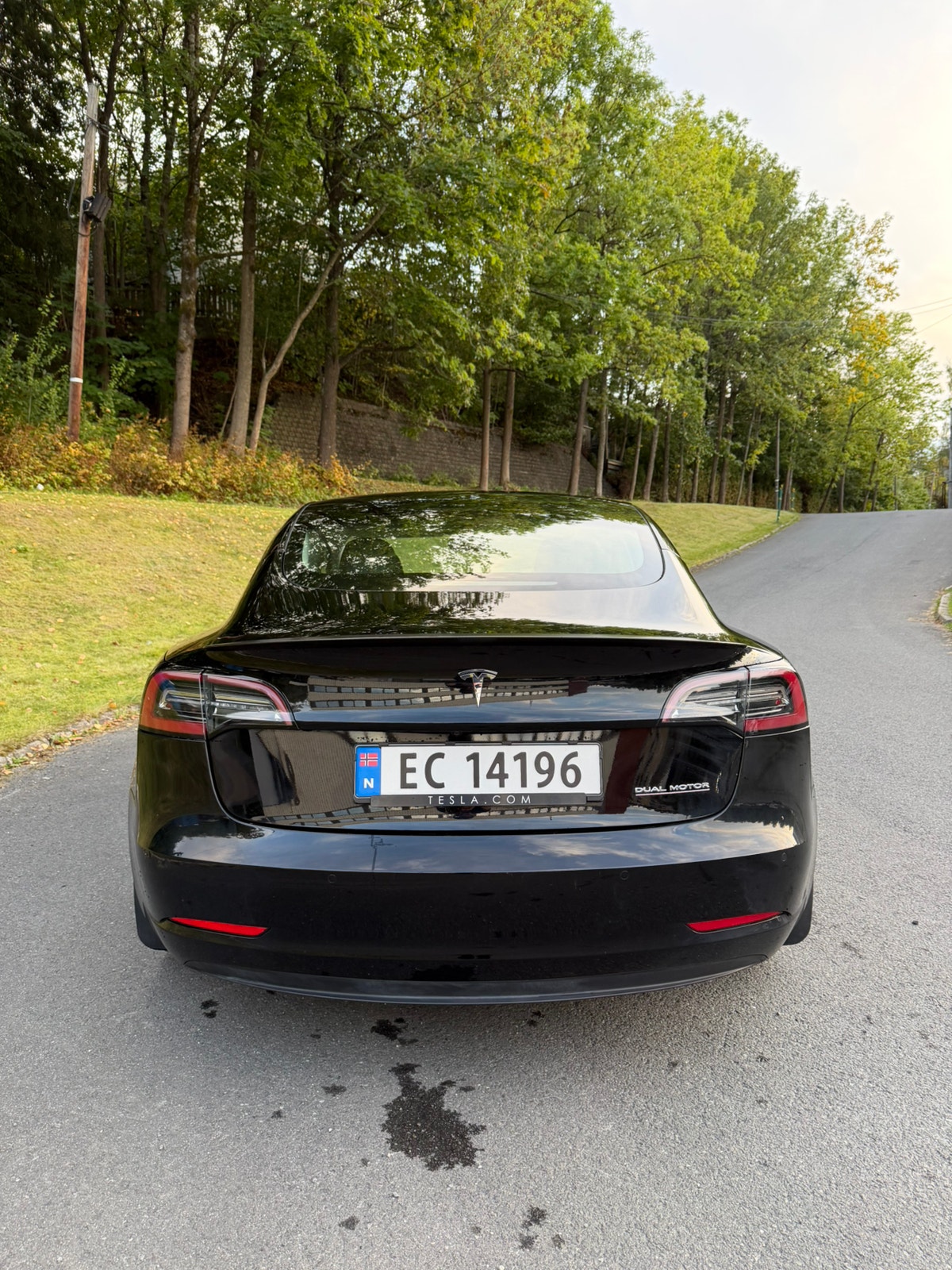 Tesla Model 3 Performance, 513hp, 2021