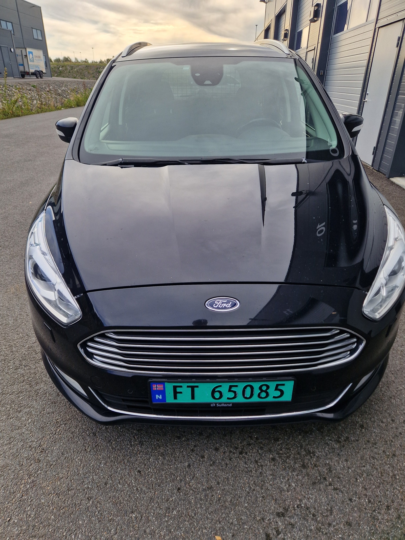 Ford Galaxy 2.0 EcoBlue AWD SelectShift, 190hp, 2019