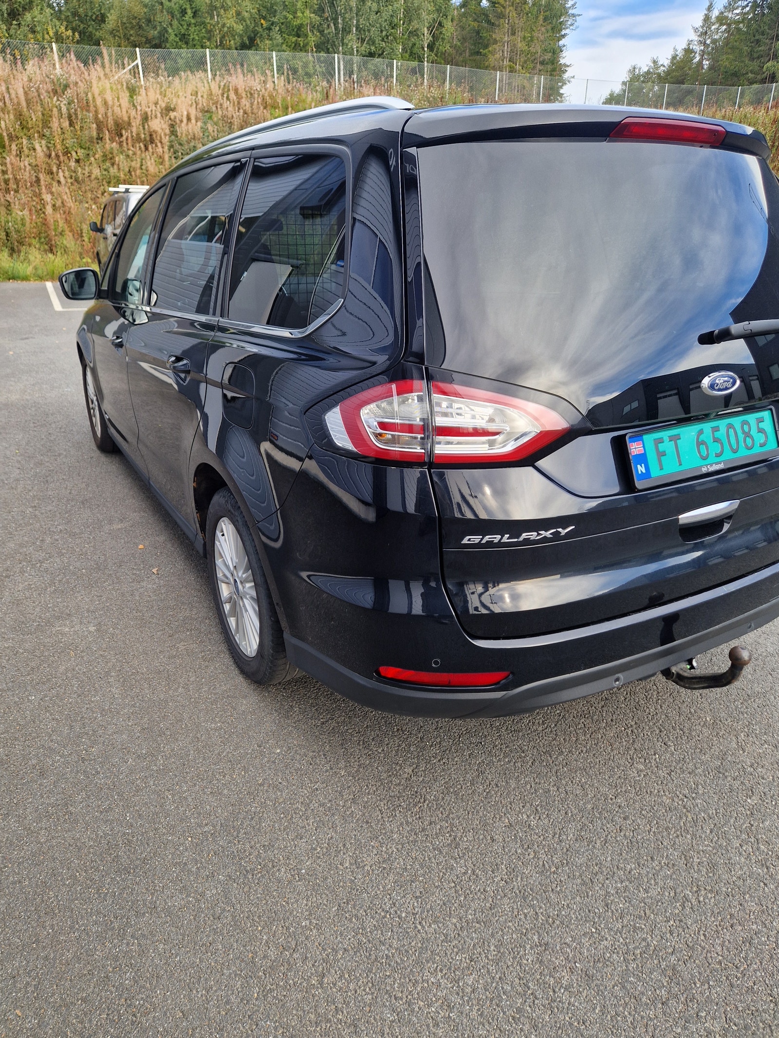 Ford Galaxy 2.0 EcoBlue AWD SelectShift, 190hp, 2019