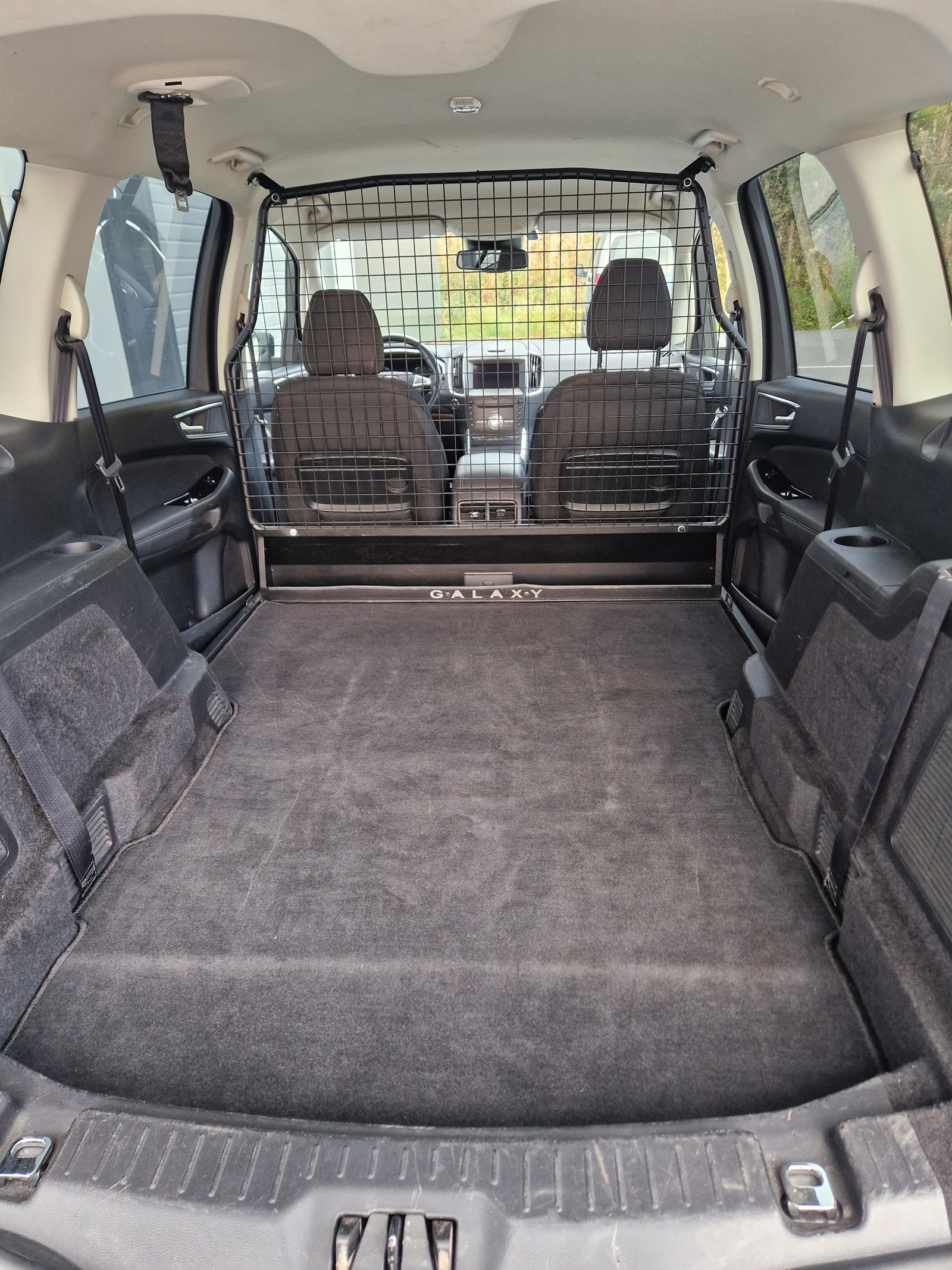 Ford Galaxy 2.0 EcoBlue AWD SelectShift, 190hp, 2019