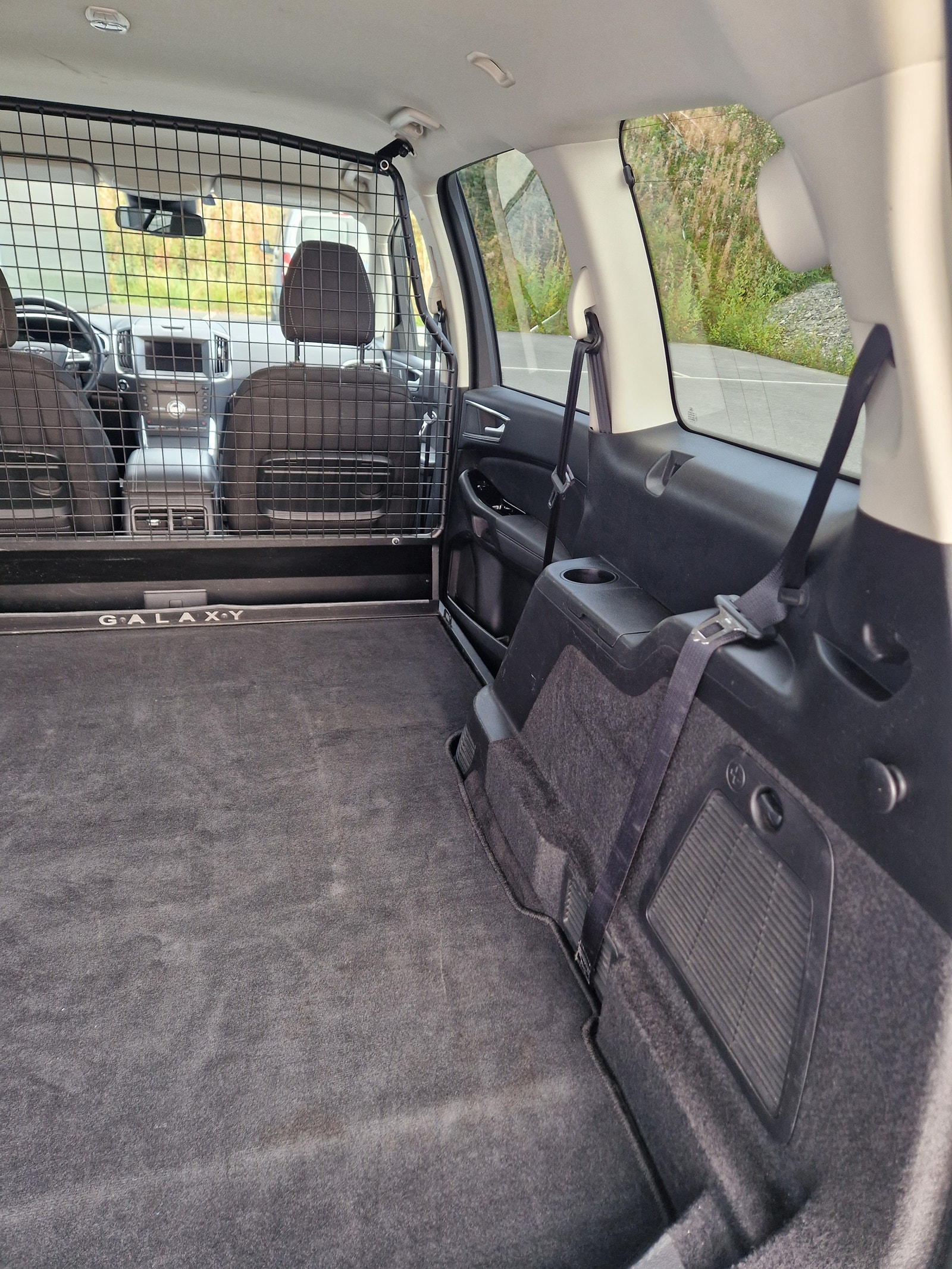 Ford Galaxy 2.0 EcoBlue AWD SelectShift, 190hp, 2019