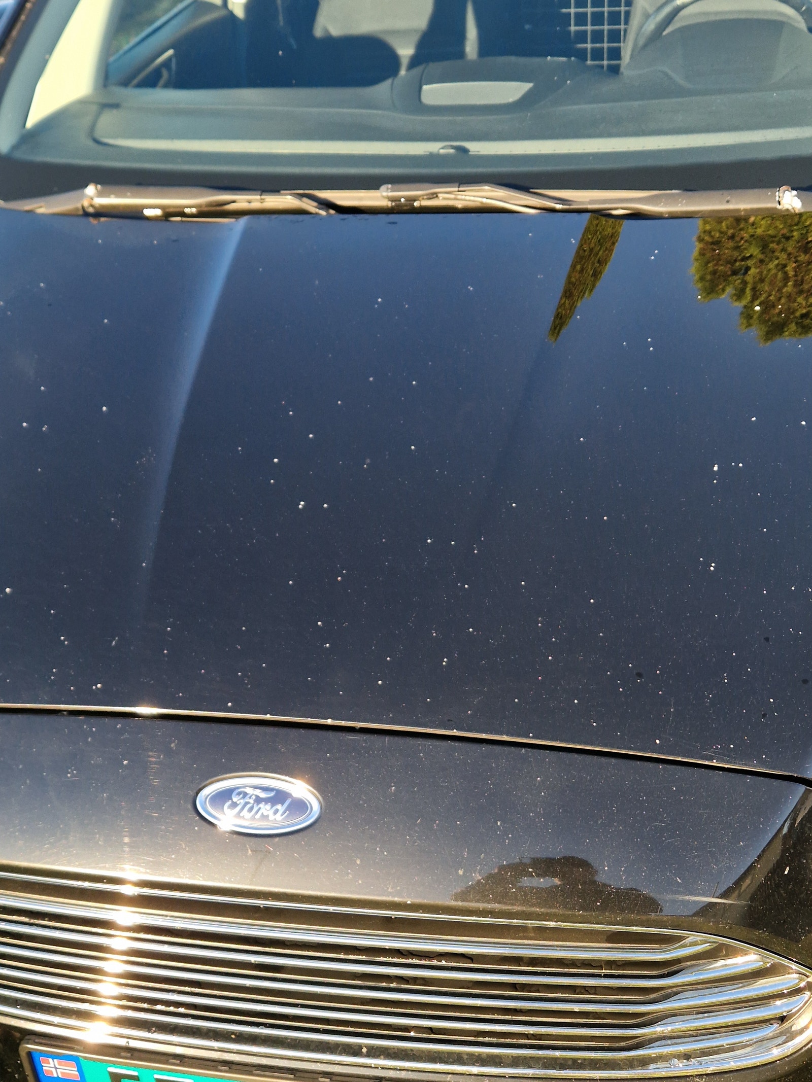 Ford Galaxy 2.0 EcoBlue AWD SelectShift, 190hp, 2019